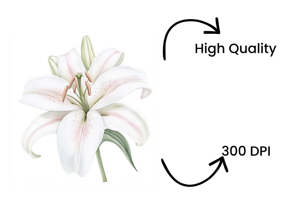 Graceful White Lily Clipart Bundle