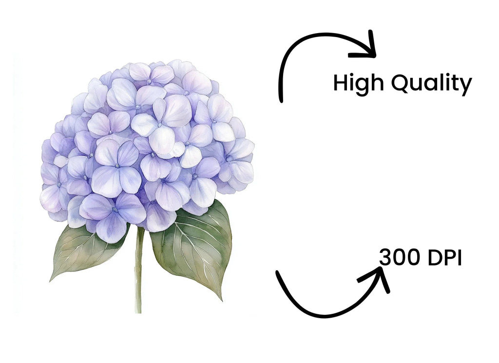 Purple Hydrangea Clipart Bundle