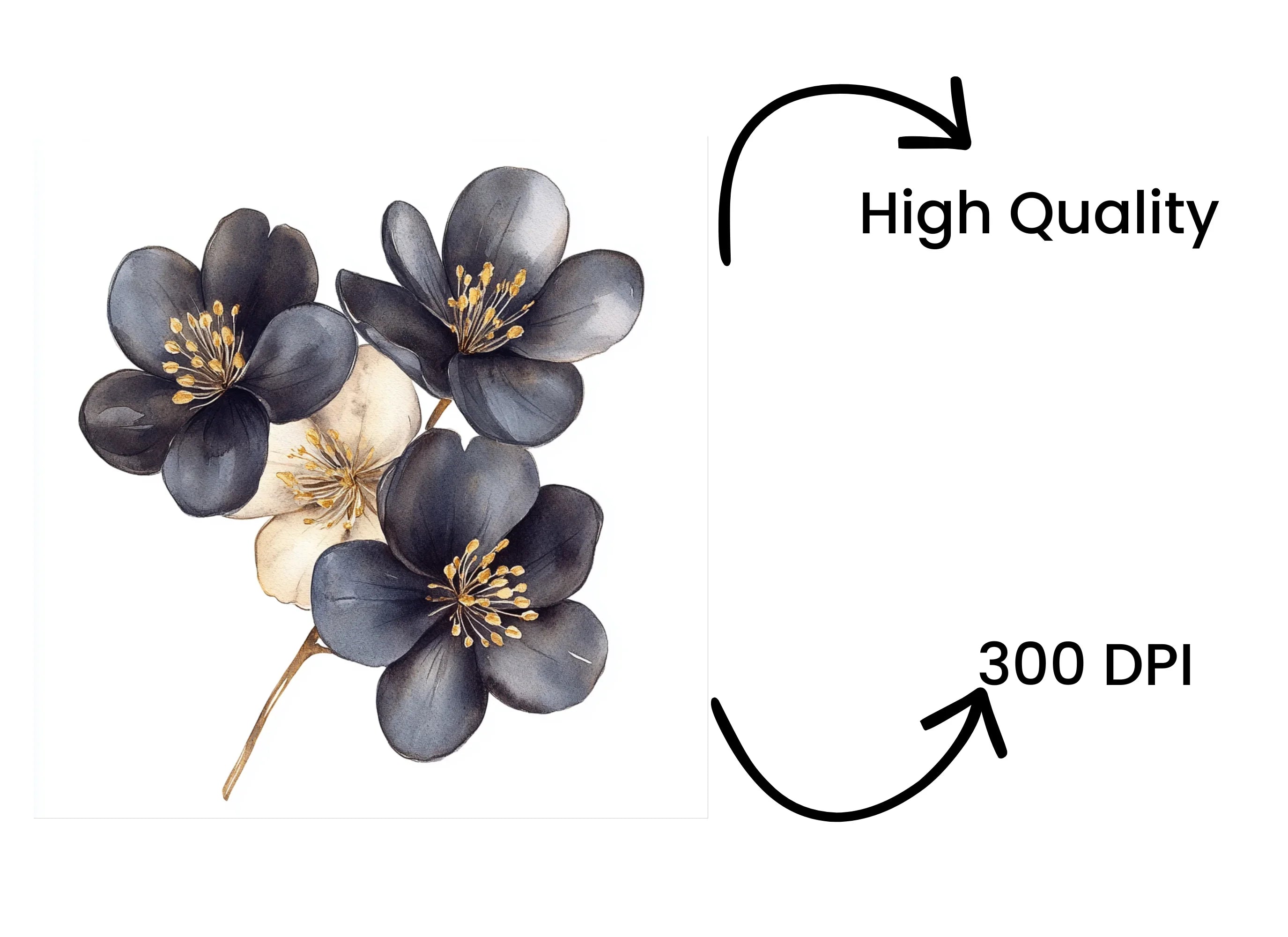 Dark Floral Gold Accents Clipart Bundle