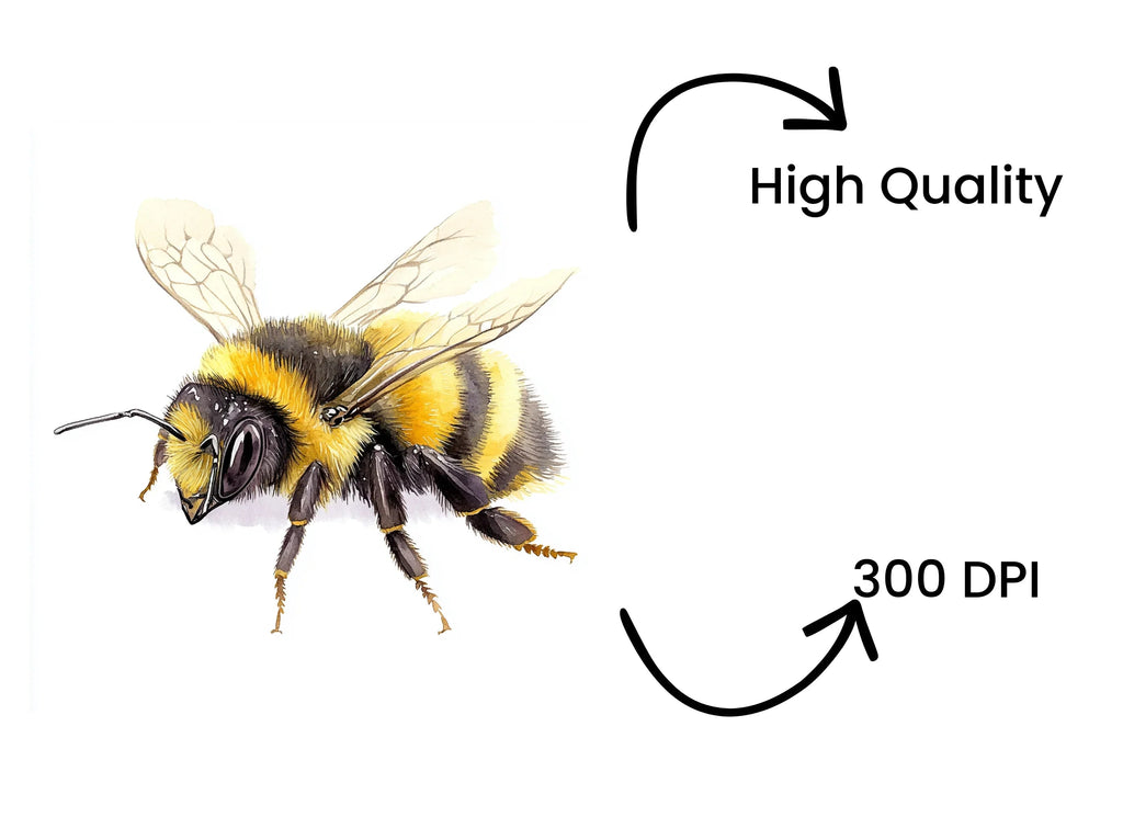 Bumblebee Clipart Bundle