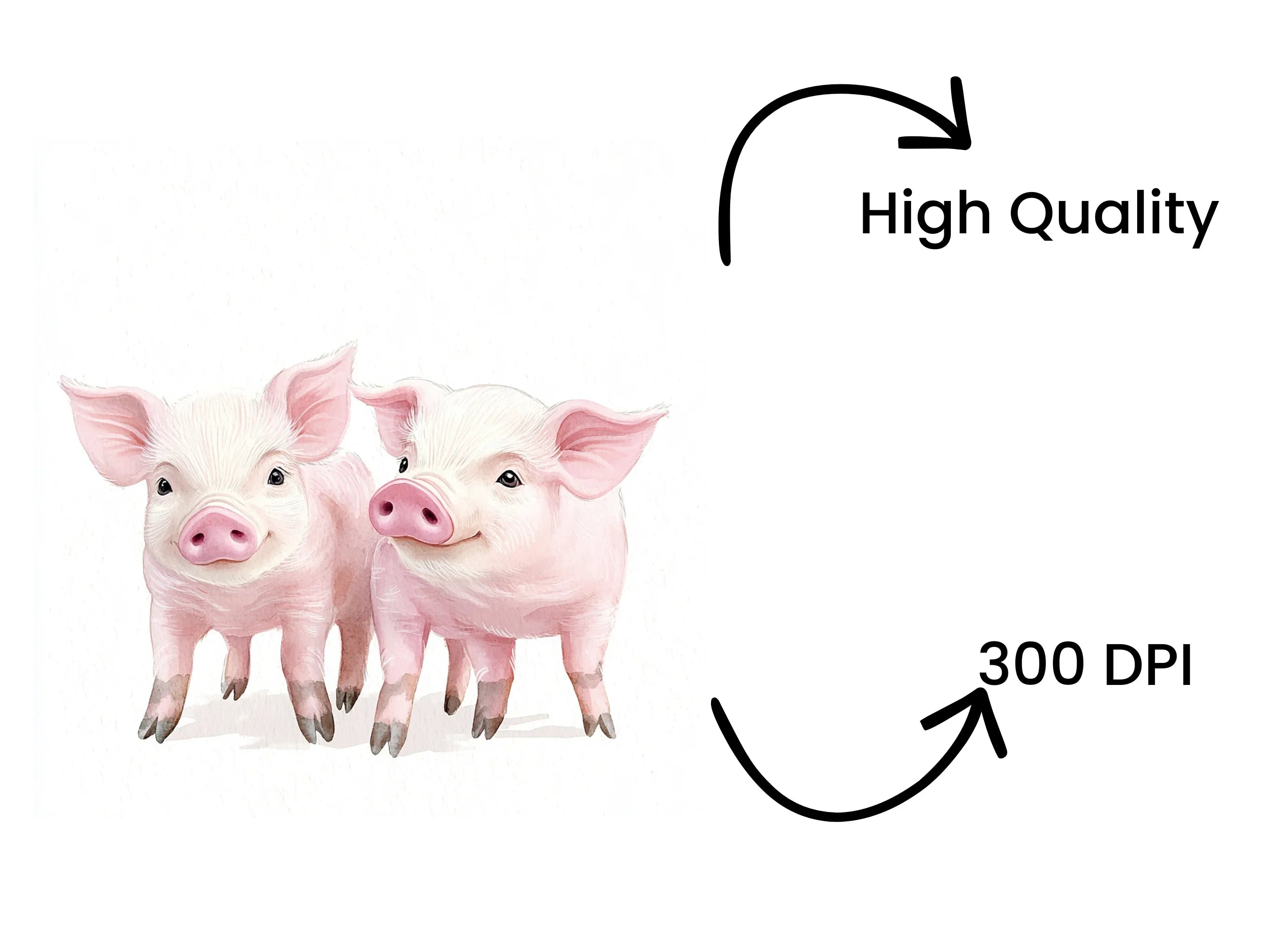 Cute Piglets Clipart Bundle