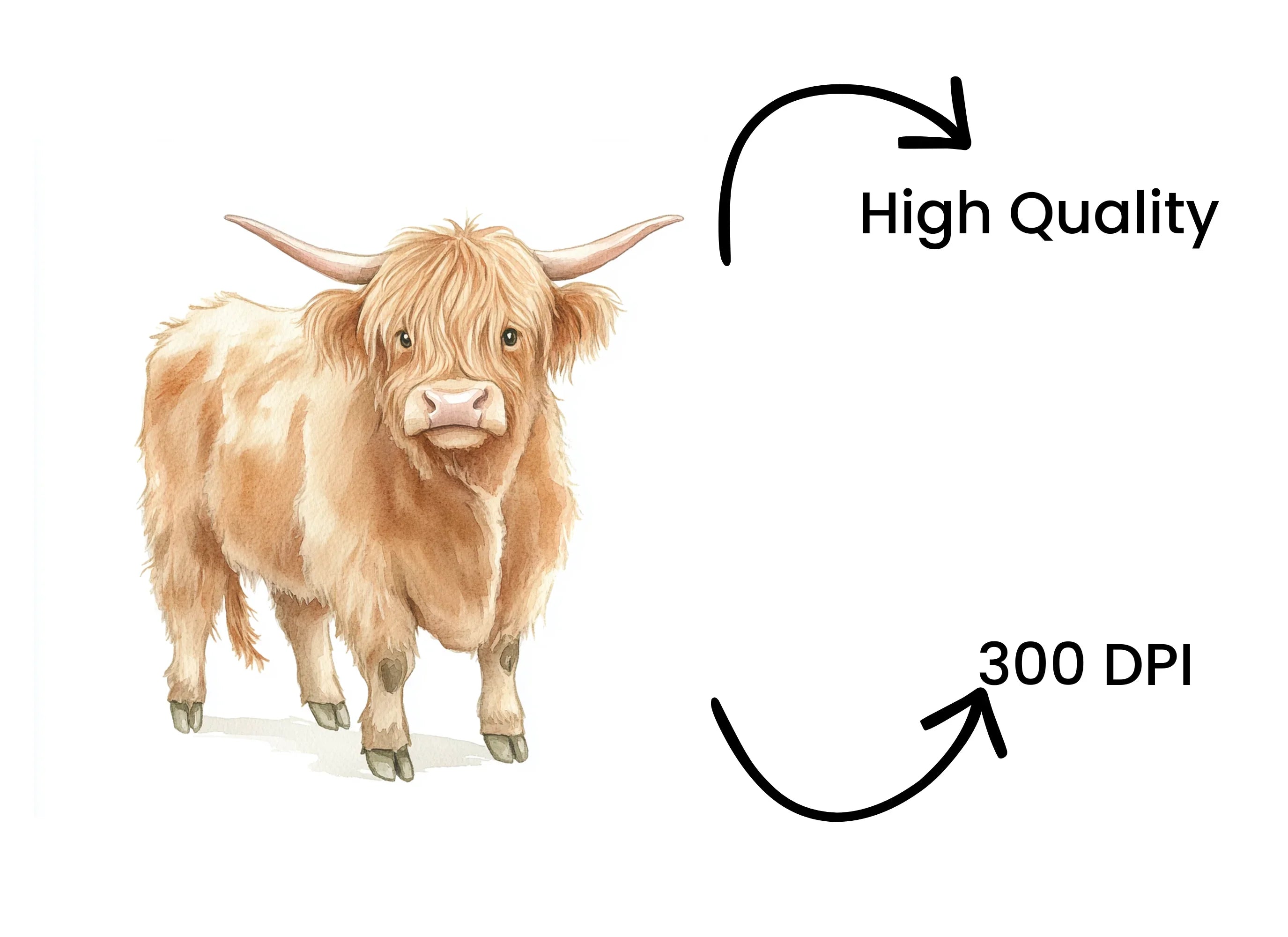 Adorable Highland Calf Clipart Bundle