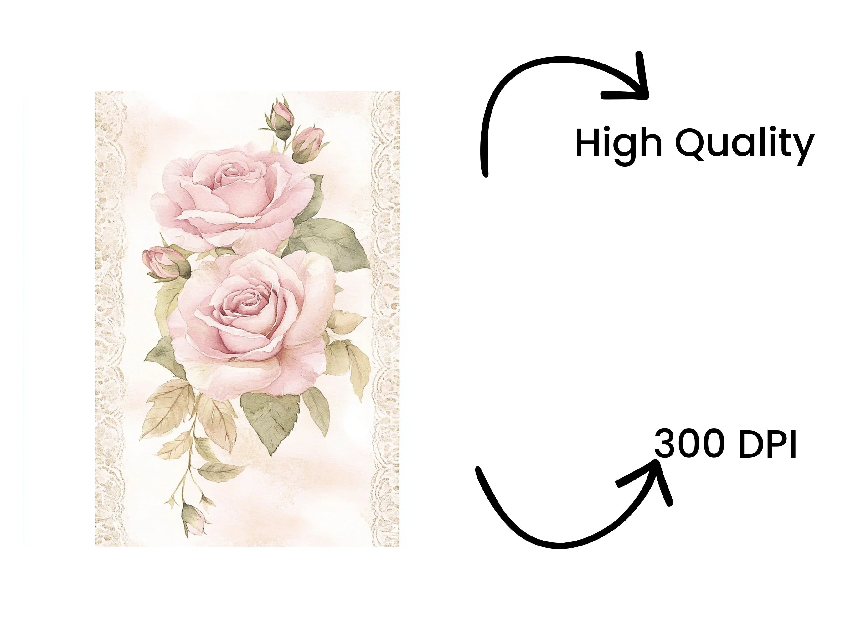 Elegant Pink Rose Clipart Bundle
