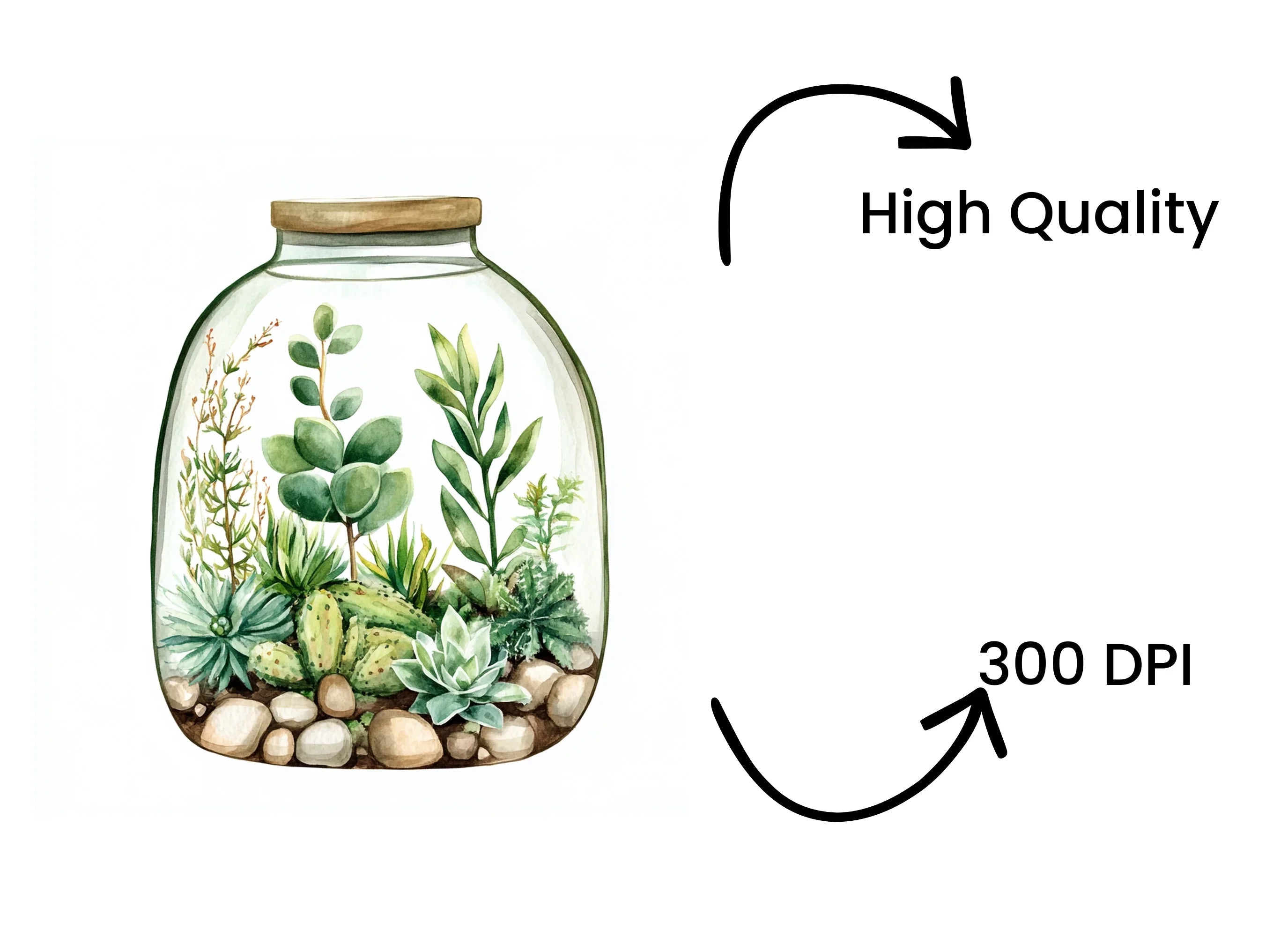 Terrarium Clipart Bundle