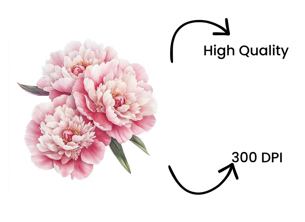 Pink Peony Flower Clipart Bundle