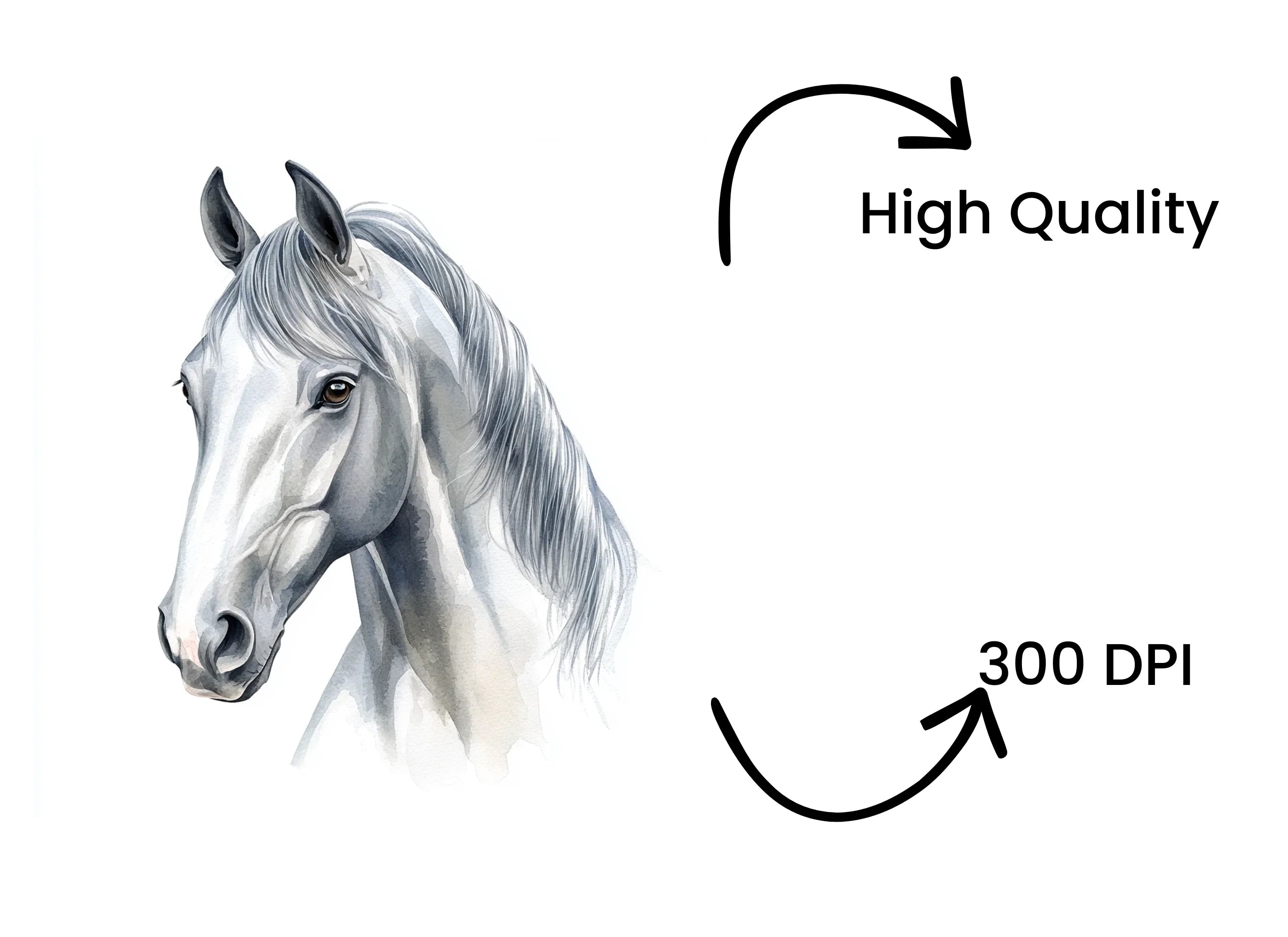 Elegant White Horse Clipart Bundle