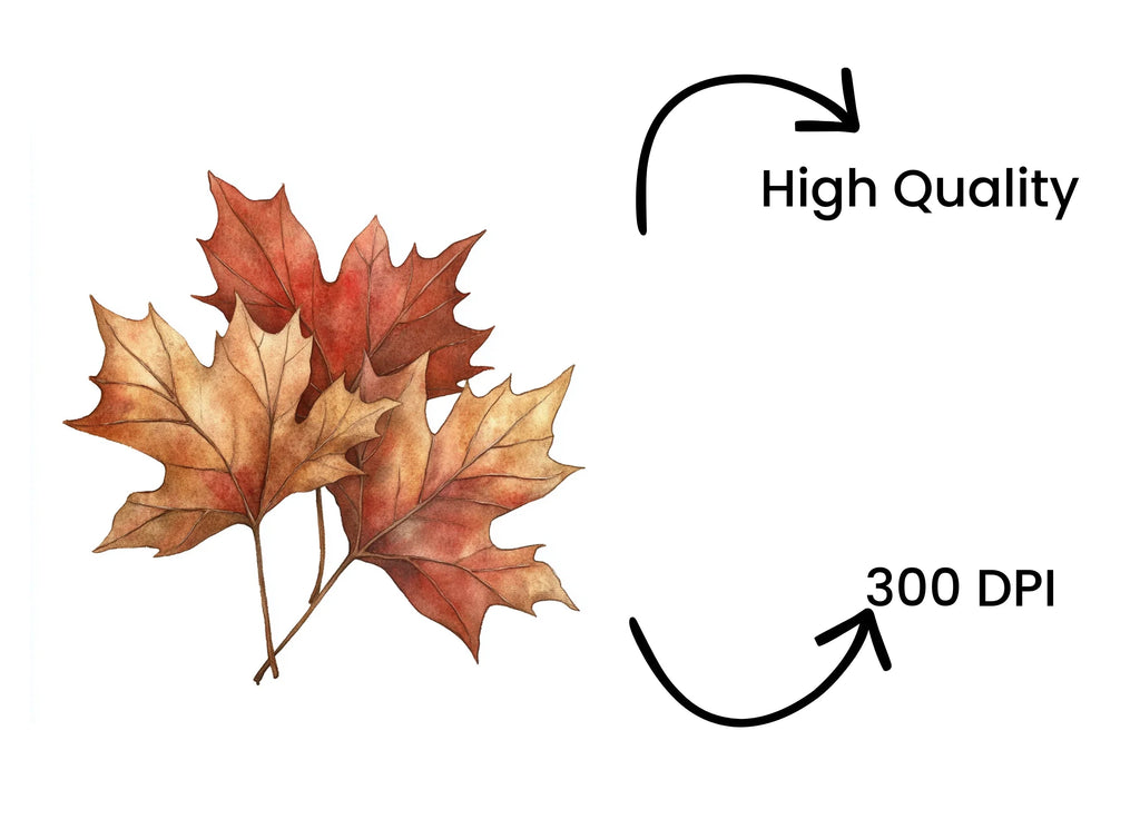 Autumn Maple Leaves Clipart Bundle