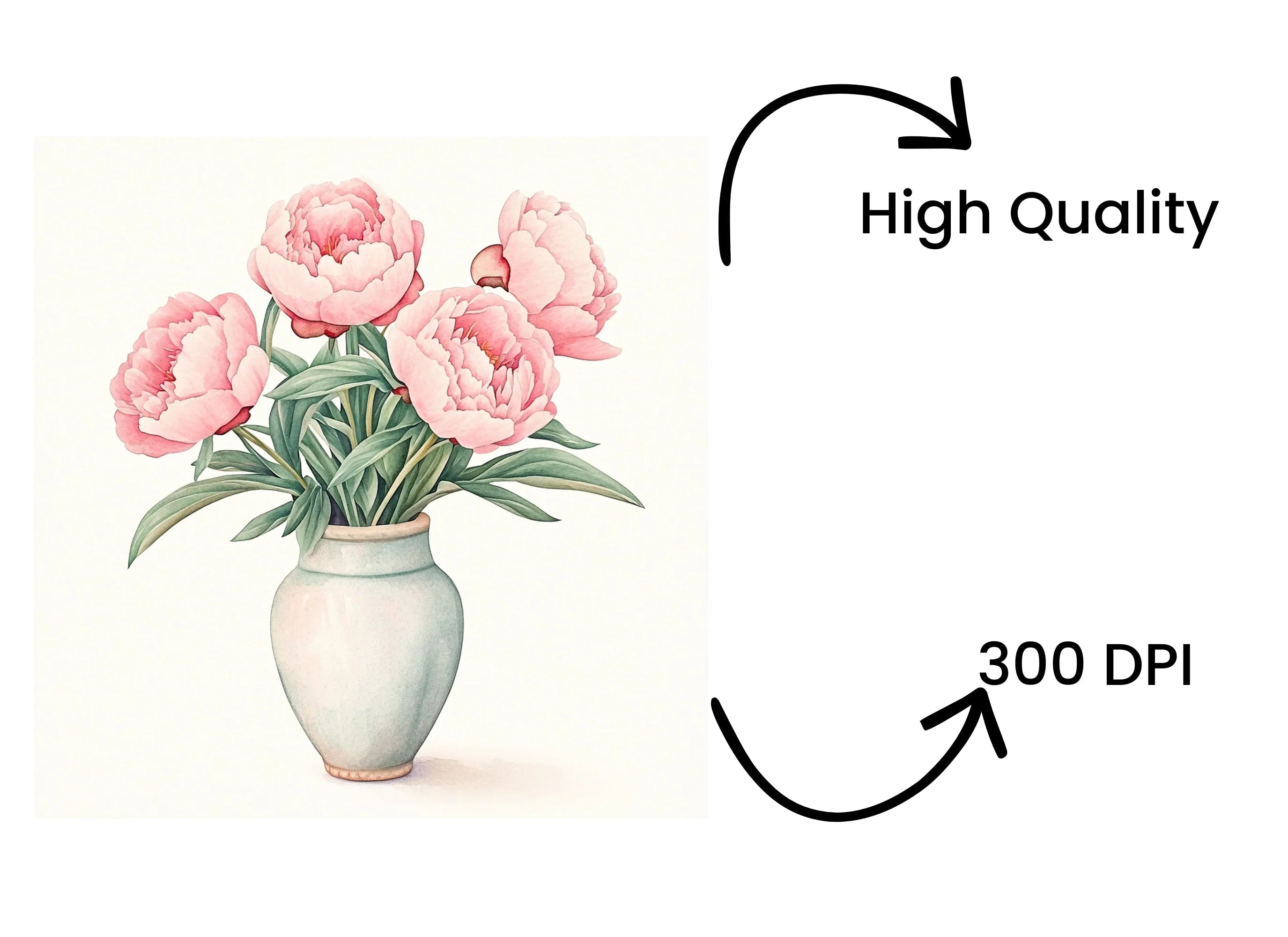 Peony Arrangements in Vases Clipart Bundle