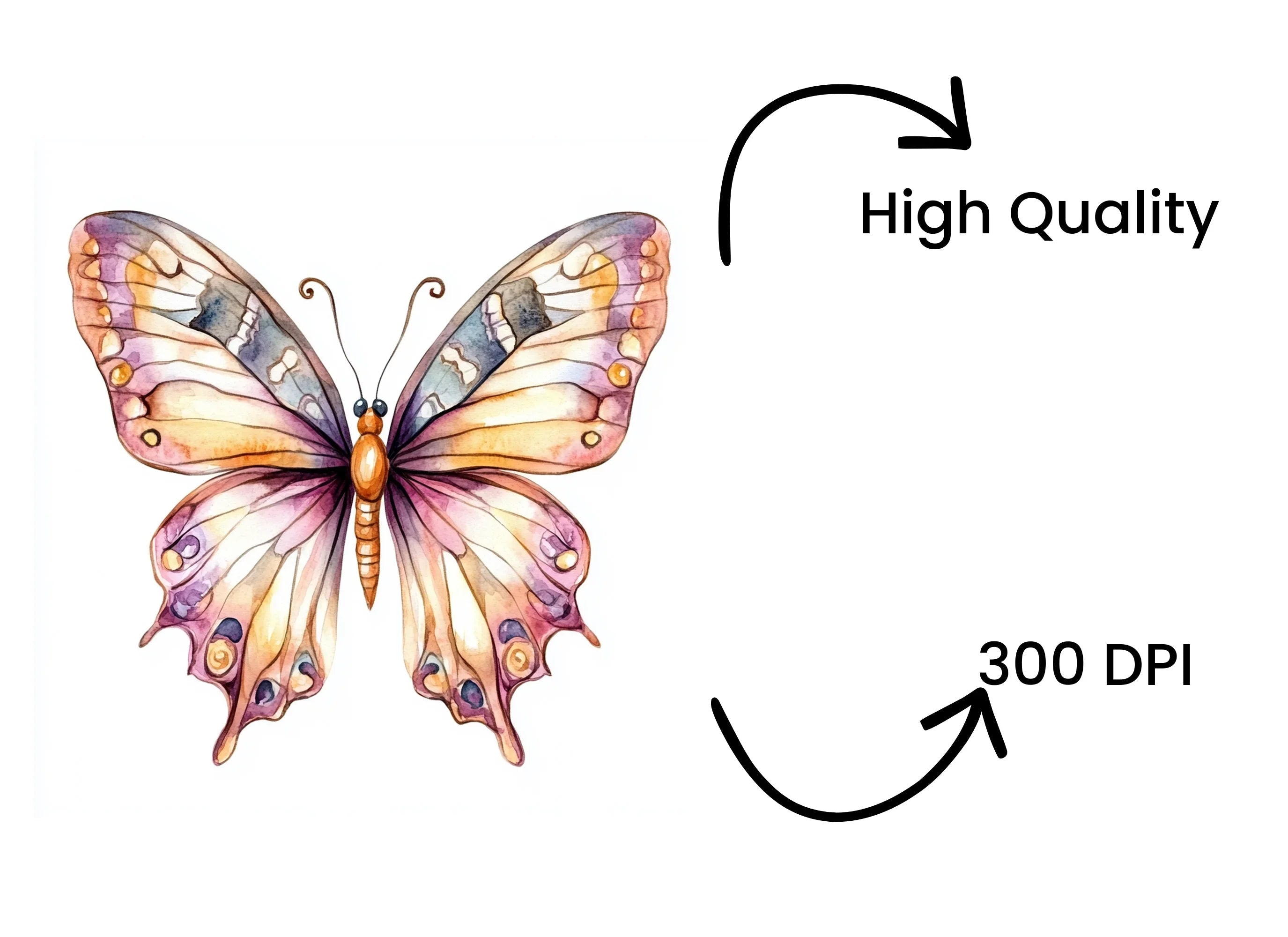 Butterfly Clipart Bundle