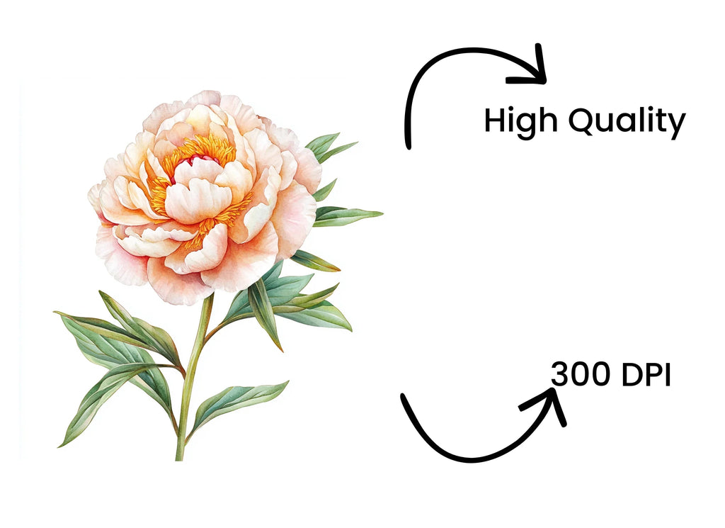 Vibrant Peach Peony Clipart Bundle