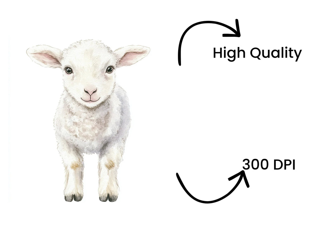 Lamb Clipart Bundle