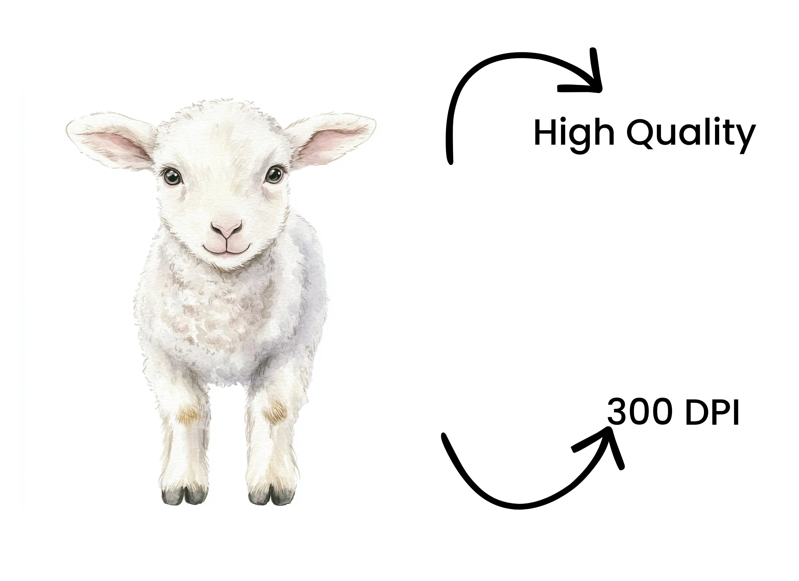 Lamb Clipart Bundle