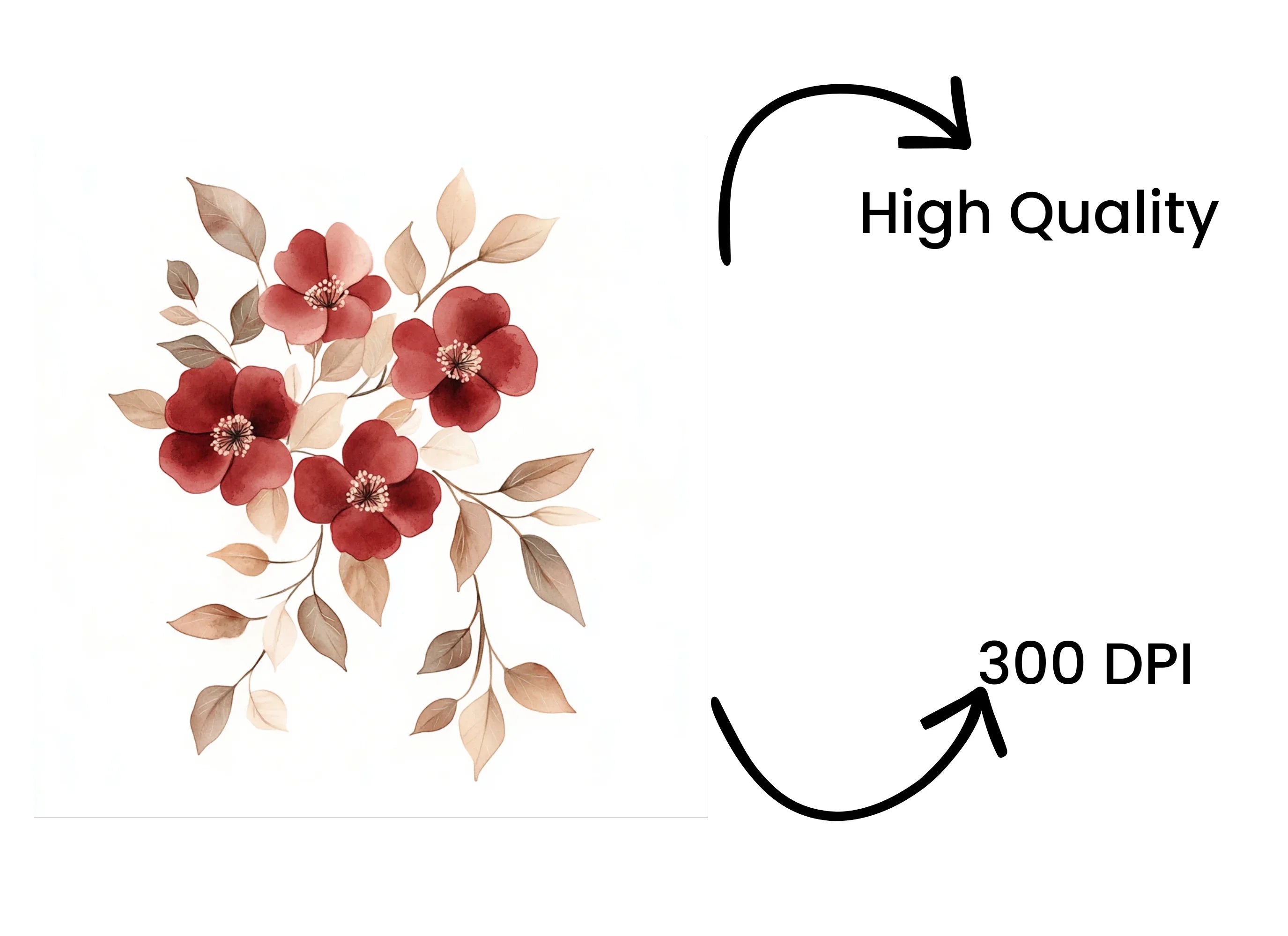 Floral Clipart Bundle