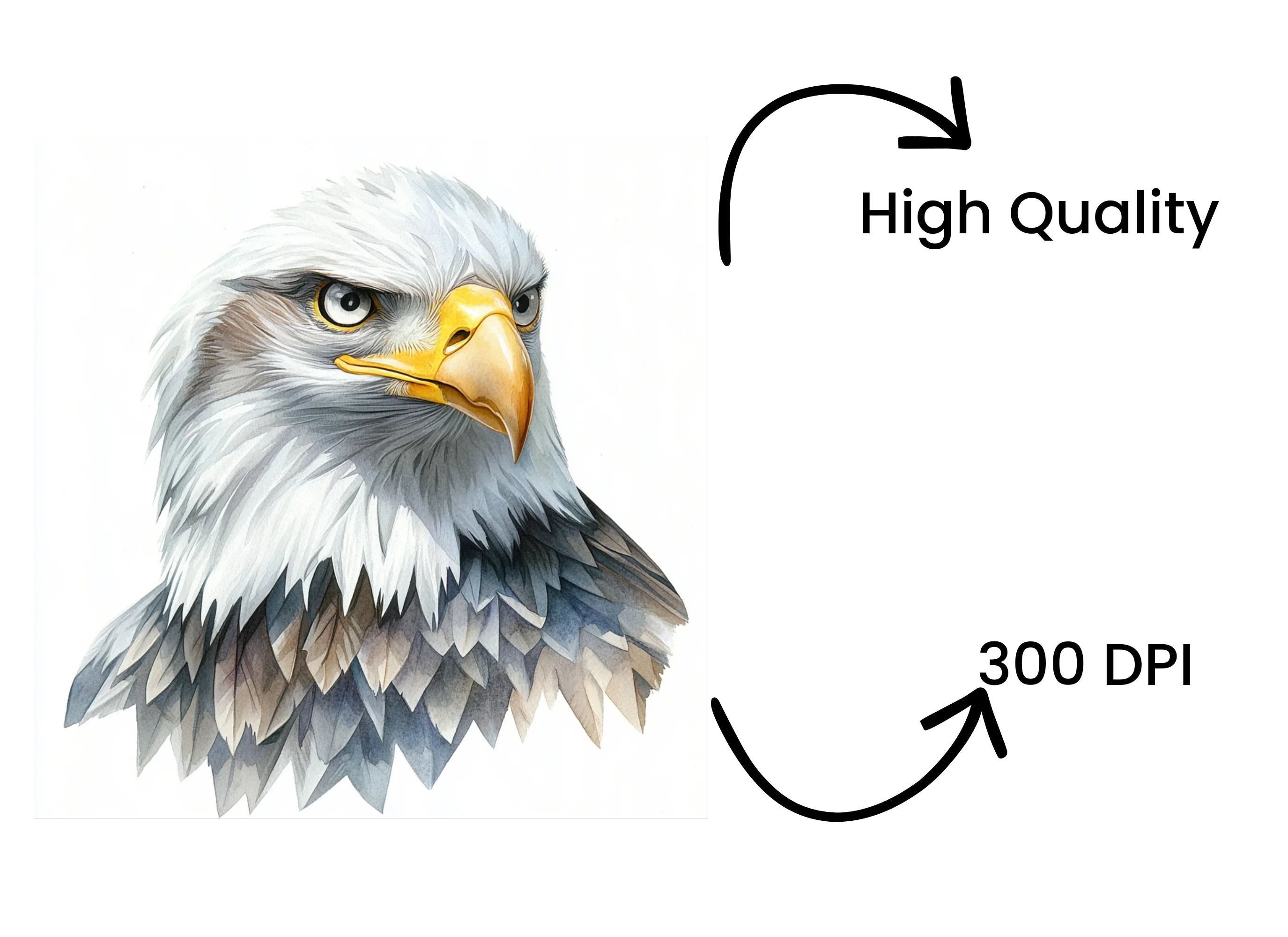 Majestic Bald Eagle Head Clipart Bundle