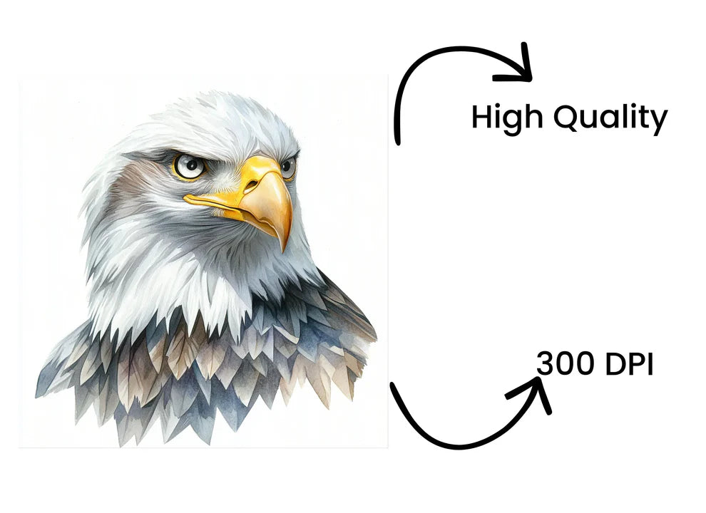 Majestic Bald Eagle Head Clipart Bundle