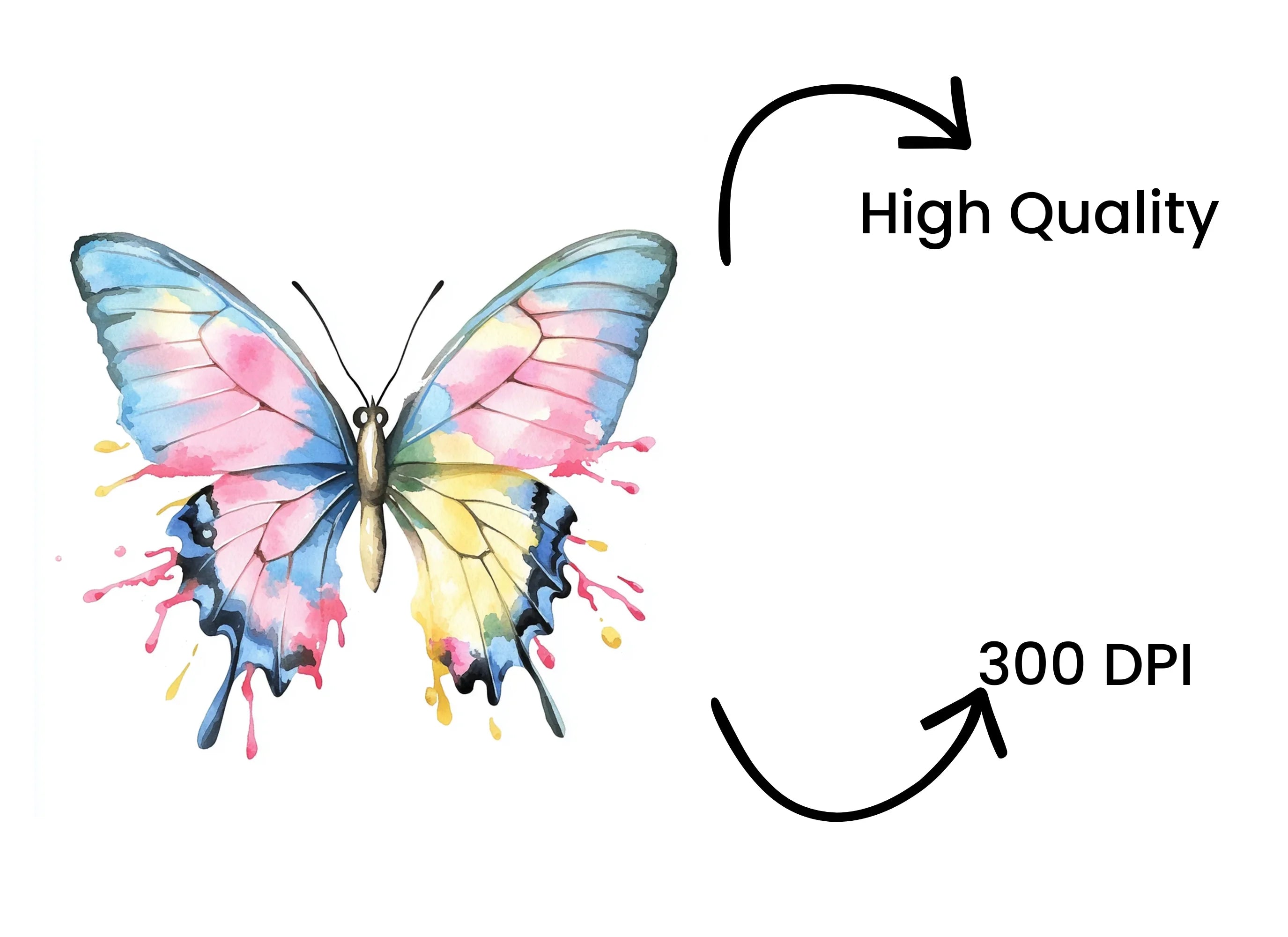 Butterfly Clipart Bundle