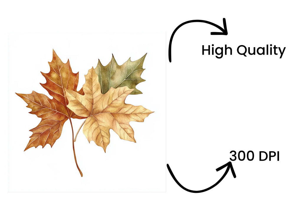 Autumn Leaves Clipart Bundle