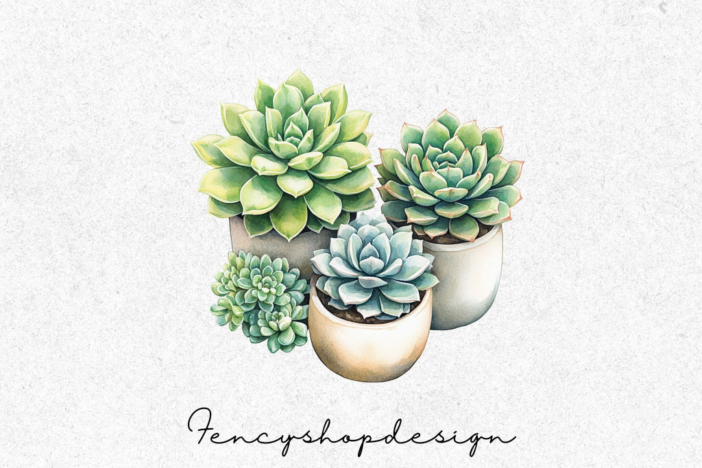 Succulent Potted Plants Clipart Bundle