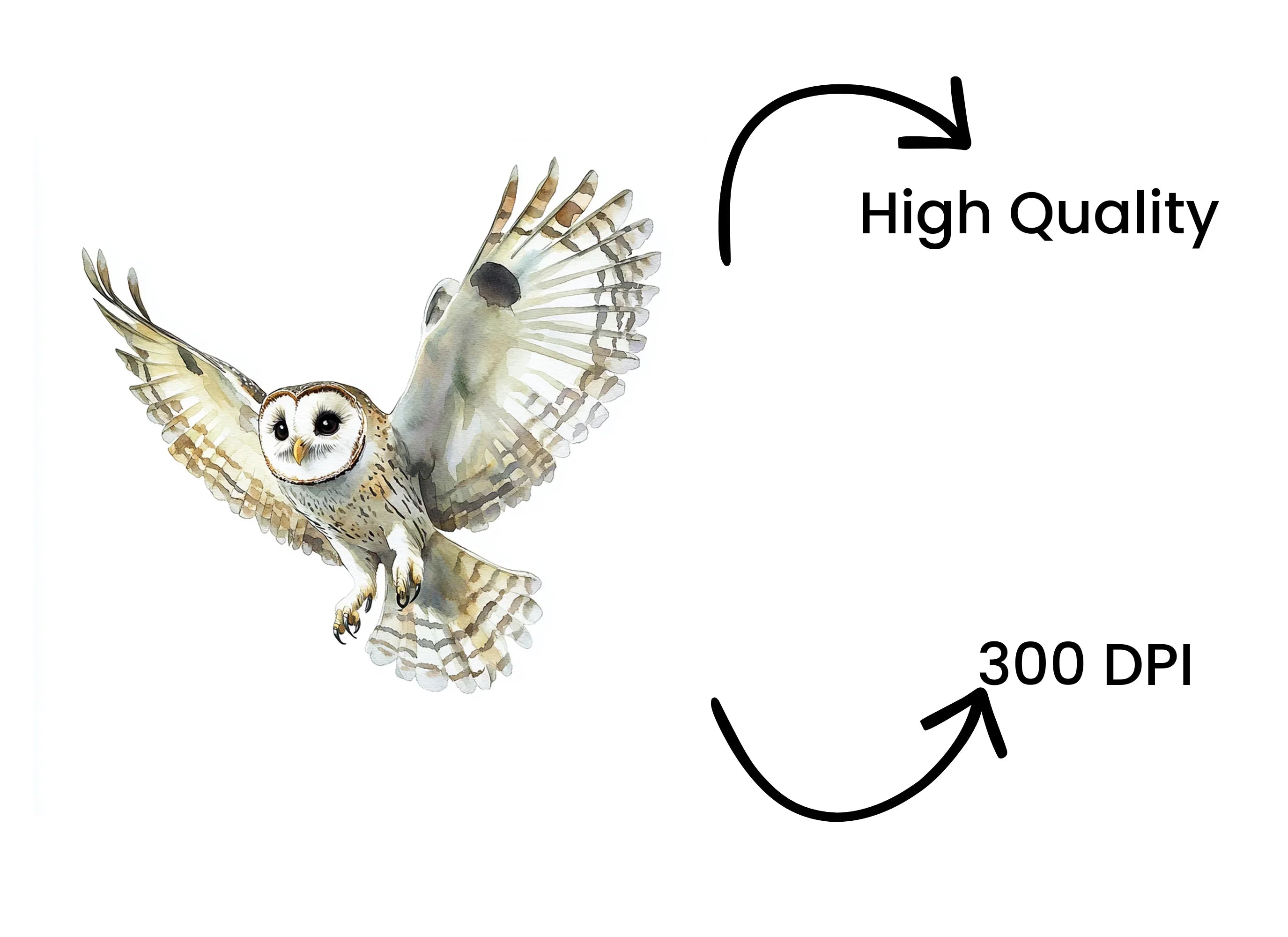Graceful Flying Owl Clipart Bundle