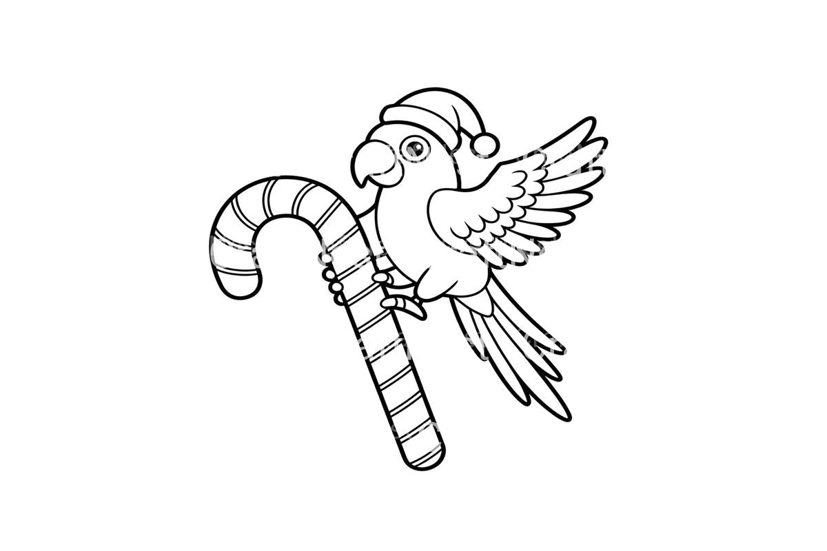 Christmas Parrots on Candy Canes Coloring Books