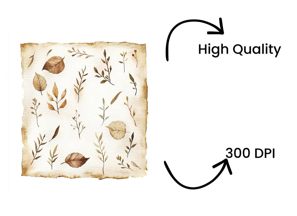 Autumn Leaves Clipart Bundle