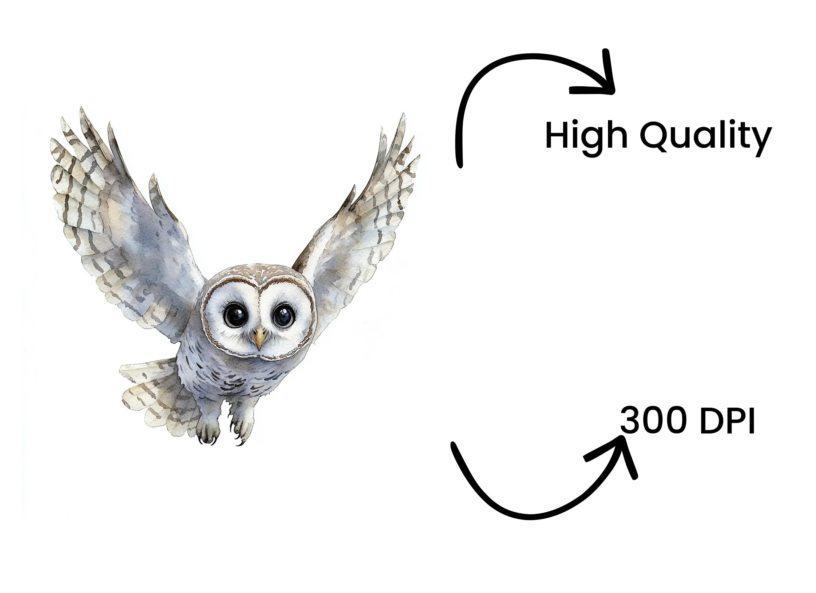 Cute Flying Owl Clipart Bundle