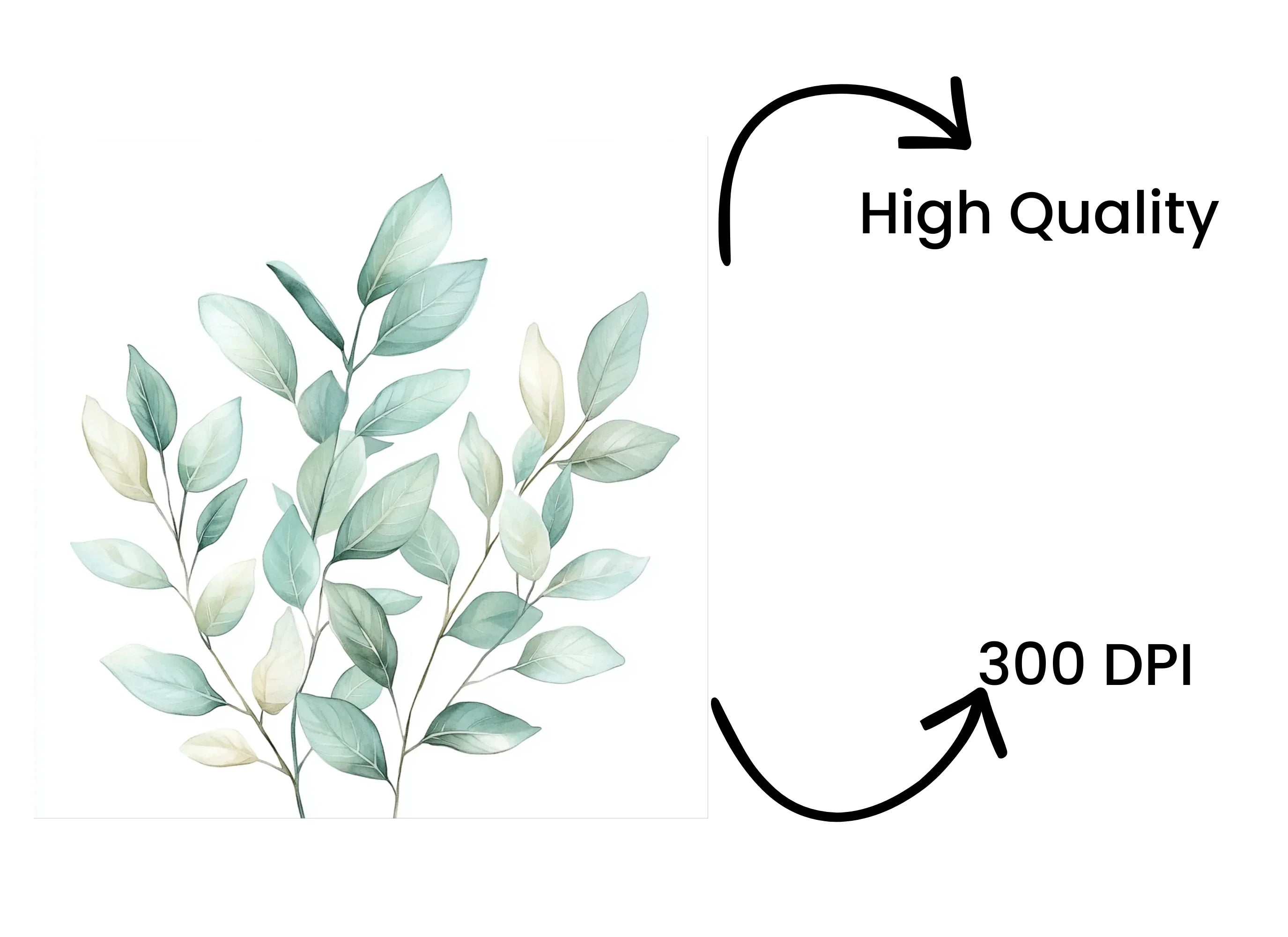 Eucalyptus and Sage Green Leaf Clipart Bundle