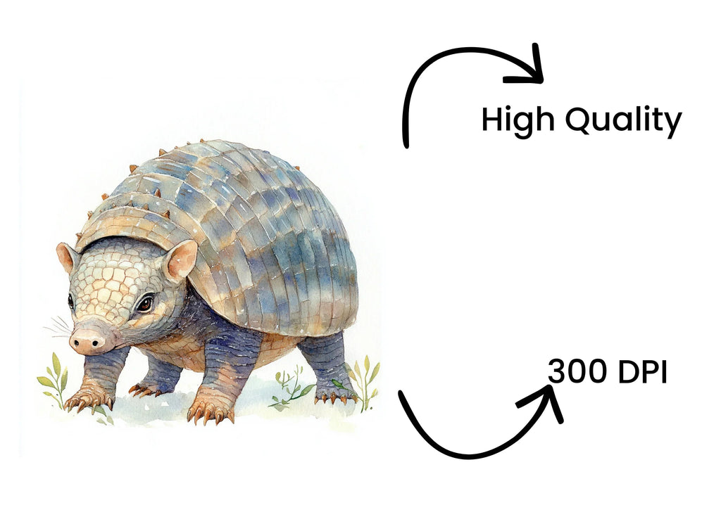Cute Armadillo Clipart Bundle