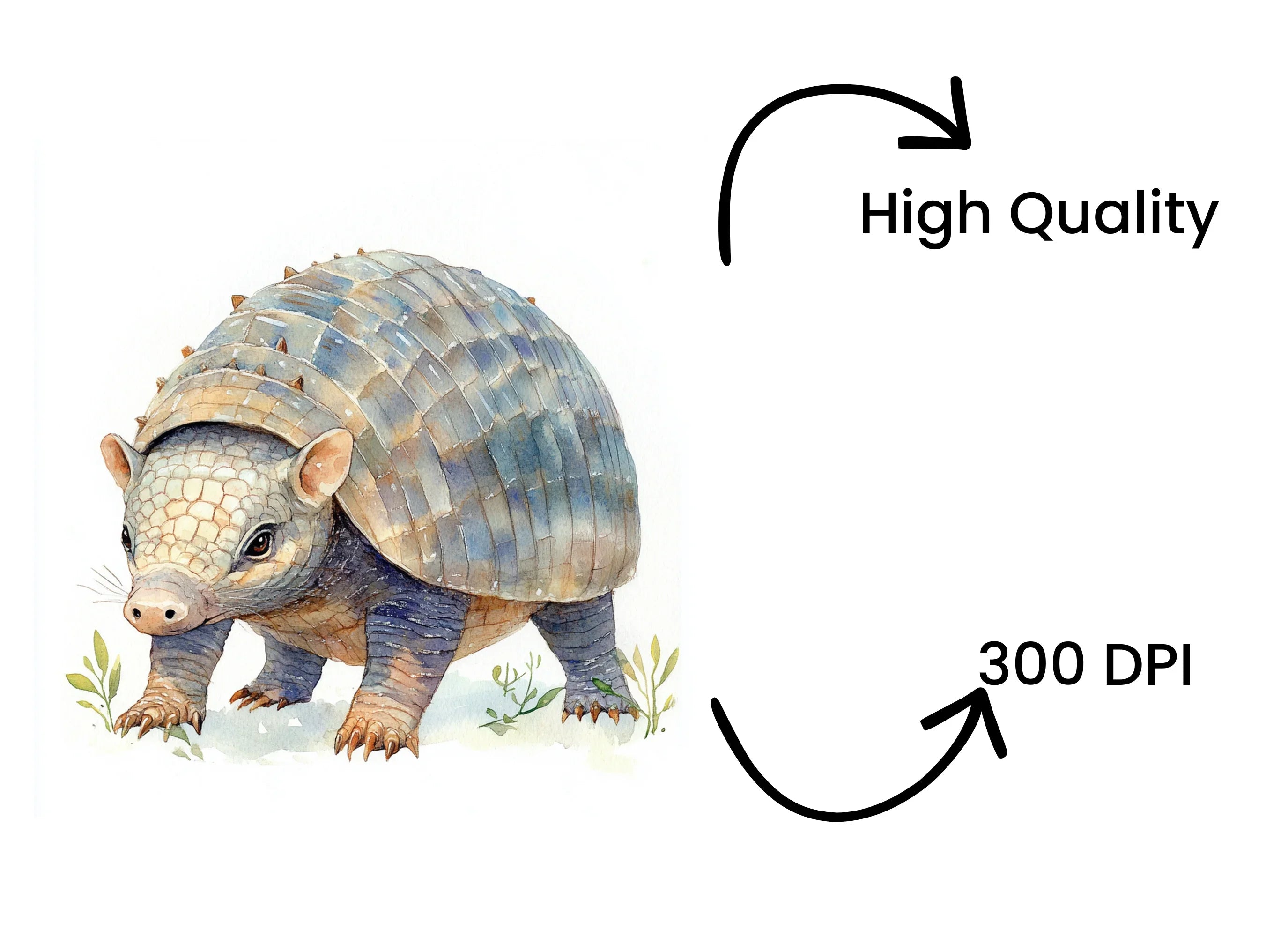 Cute Armadillo Clipart Bundle