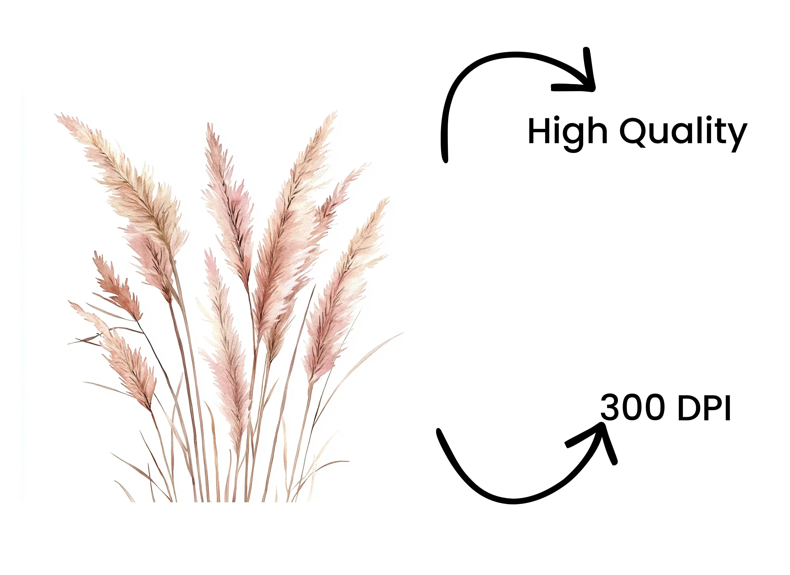 Pampas Grass Clipart Bundle