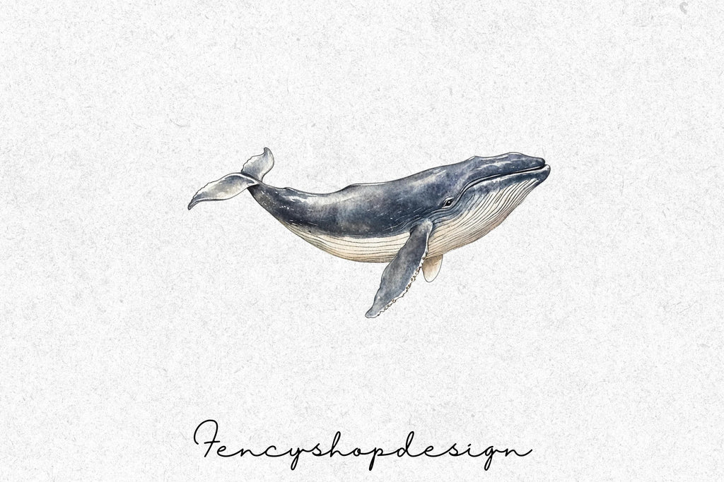 Whale Clipart Bundle