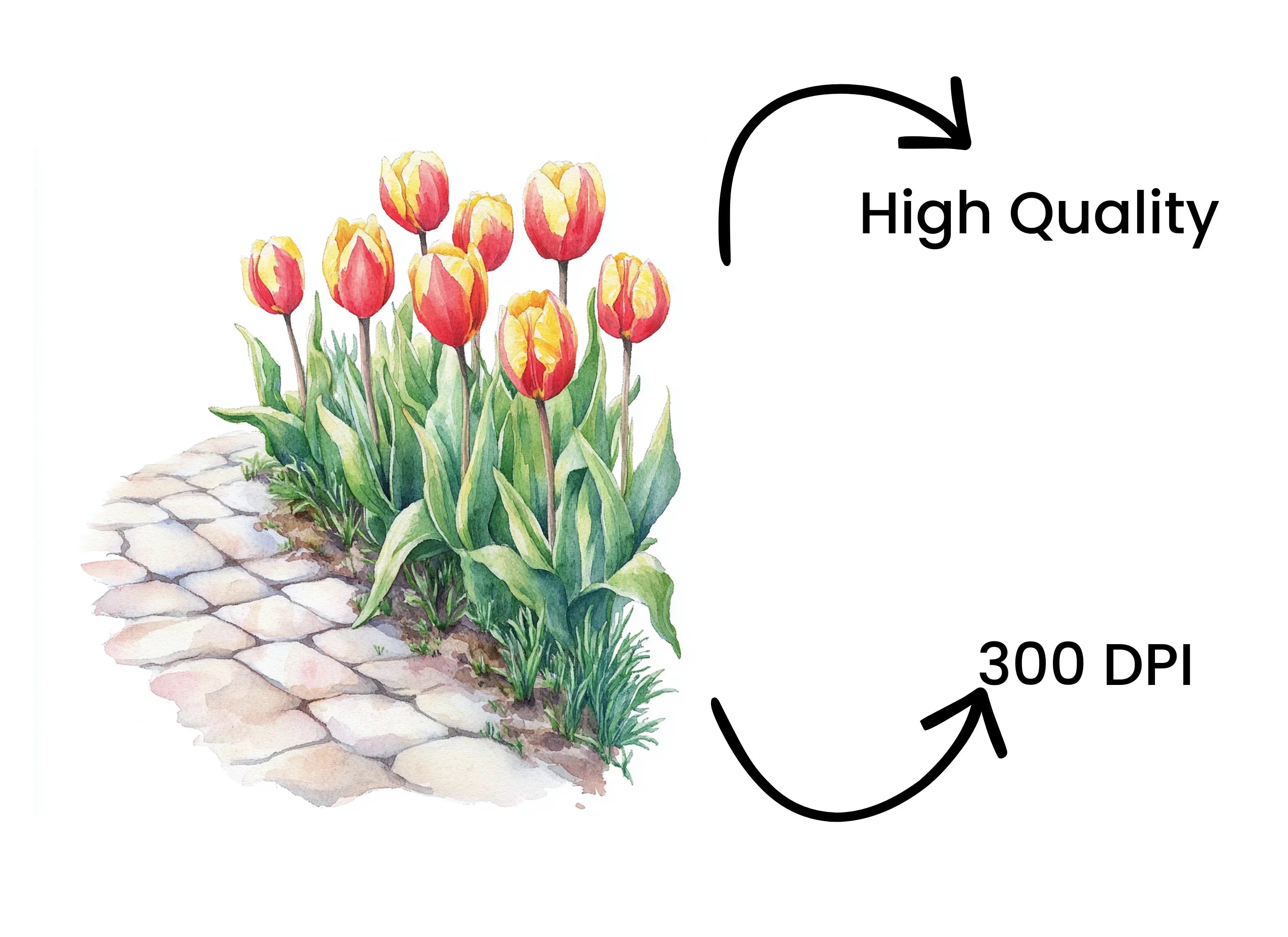 Red and Yellow Tulip Path Clipart Bundle