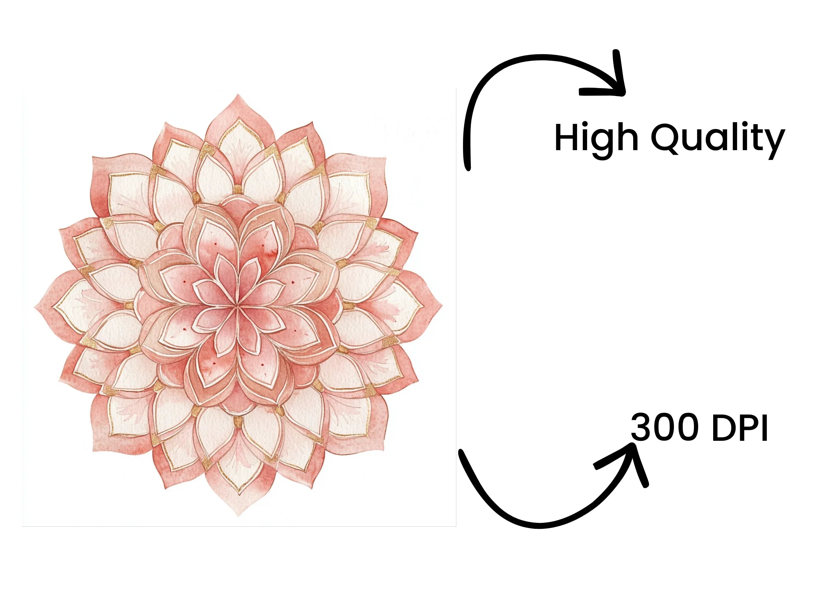 Pink and Gold Mandala Clipart Bundle