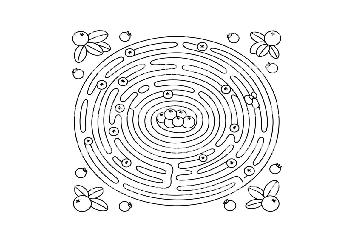 Blueberry Maze Adventure Coloring Books