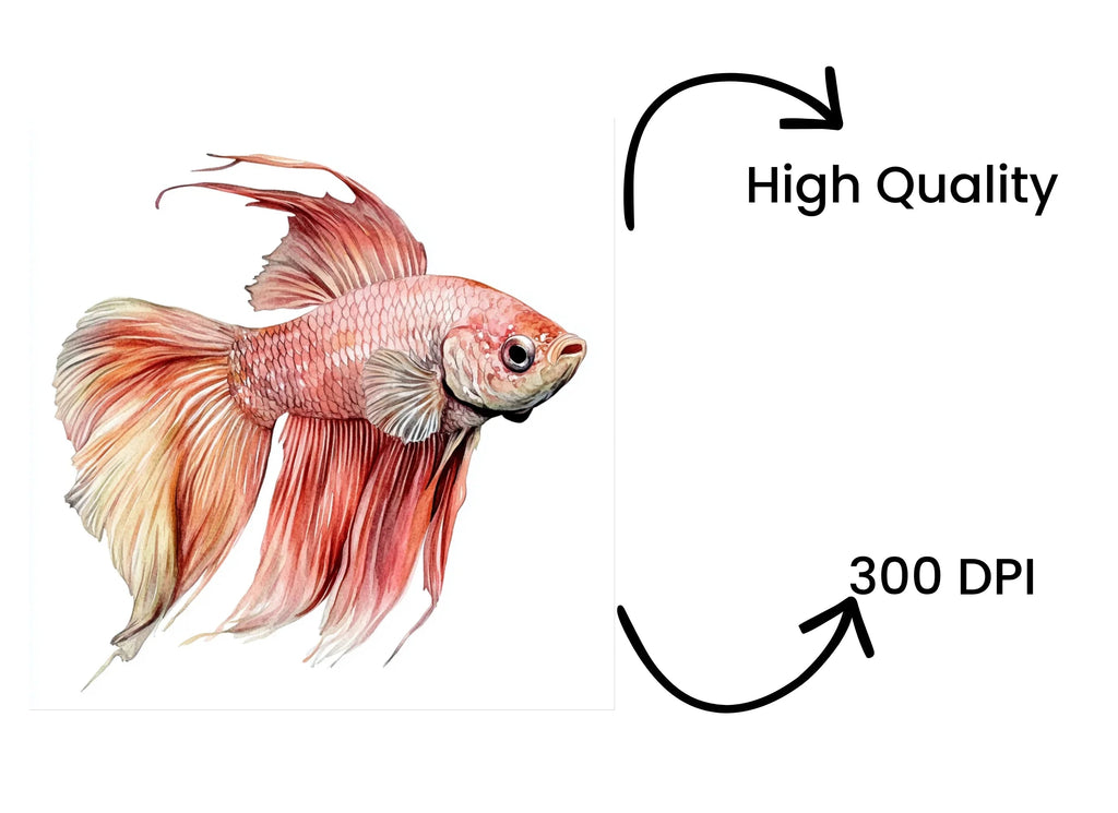 Betta Fish Clipart Bundle