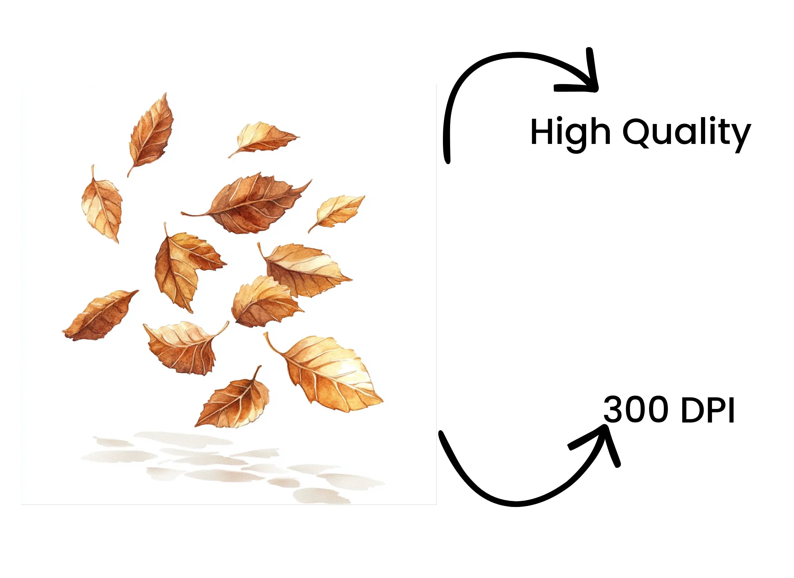 Autumn Leaves Clipart Bundle