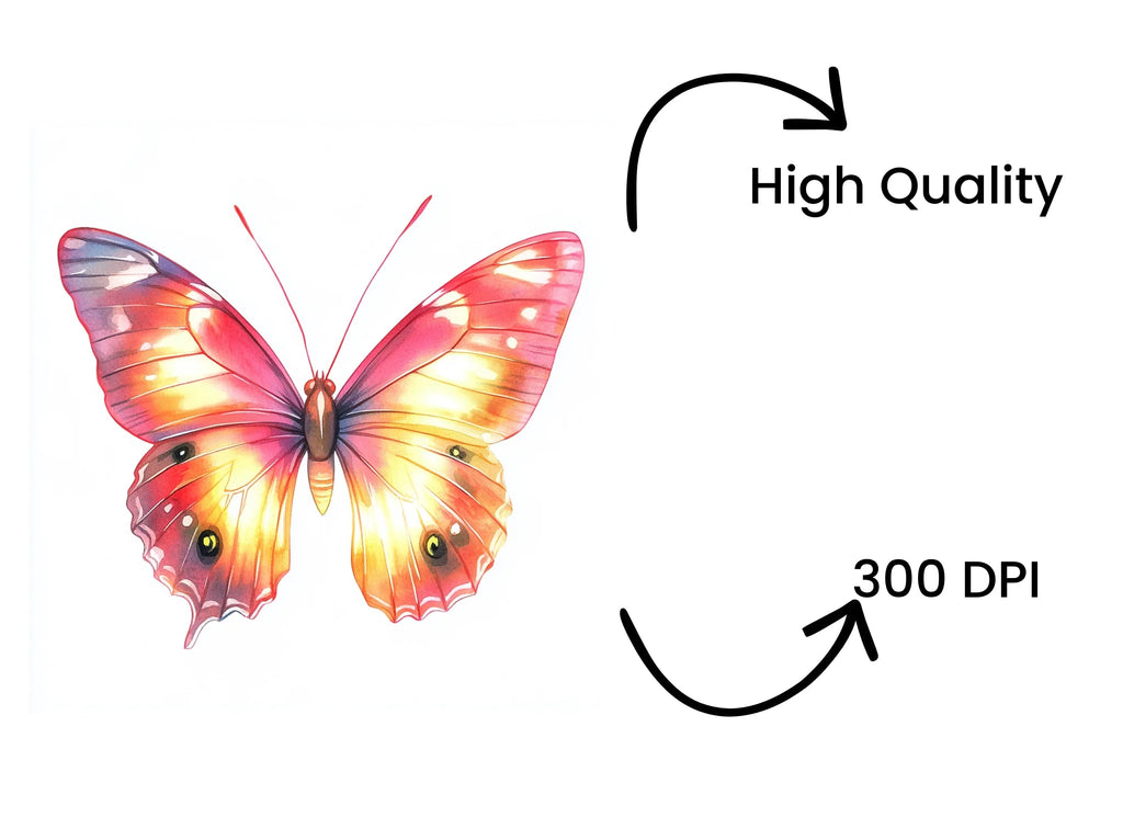 Pink and Orange Butterflies Clipart Bundle