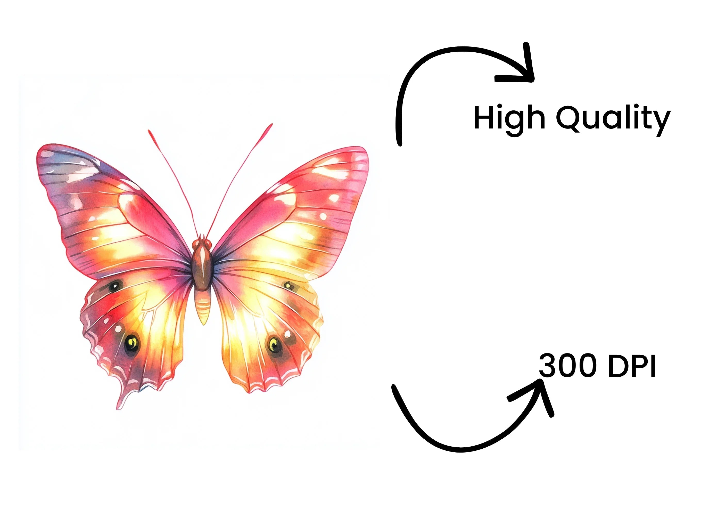 Pink and Orange Butterflies Clipart Bundle