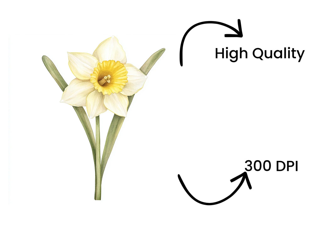 Daffodil Clipart Bundle