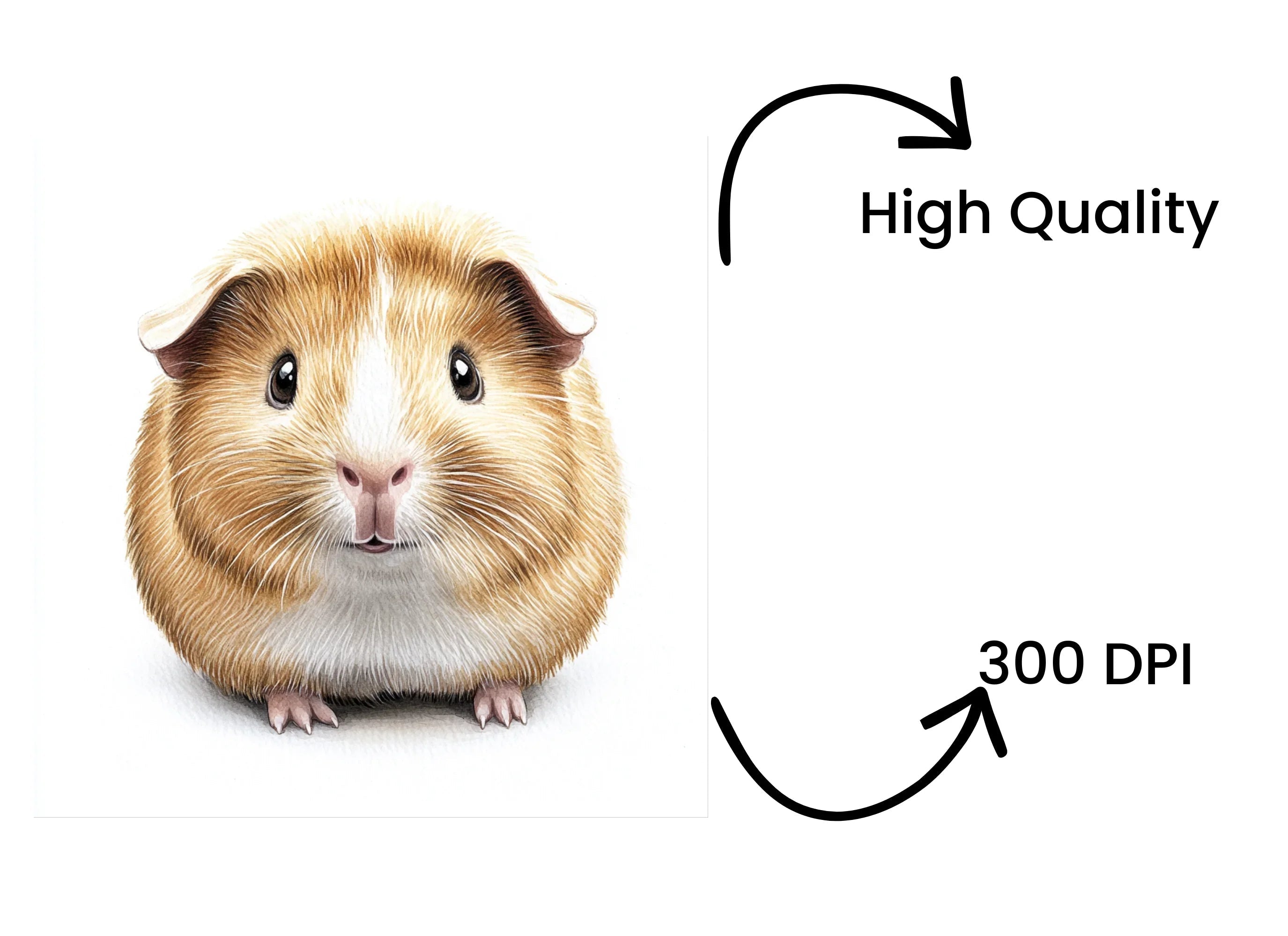 Cute Guinea Pig Clipart Bundle