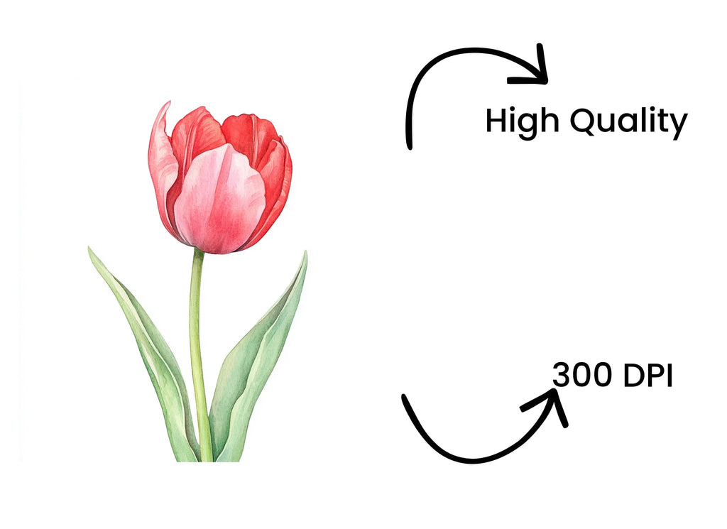Vibrant Red Tulip Clipart Bundle