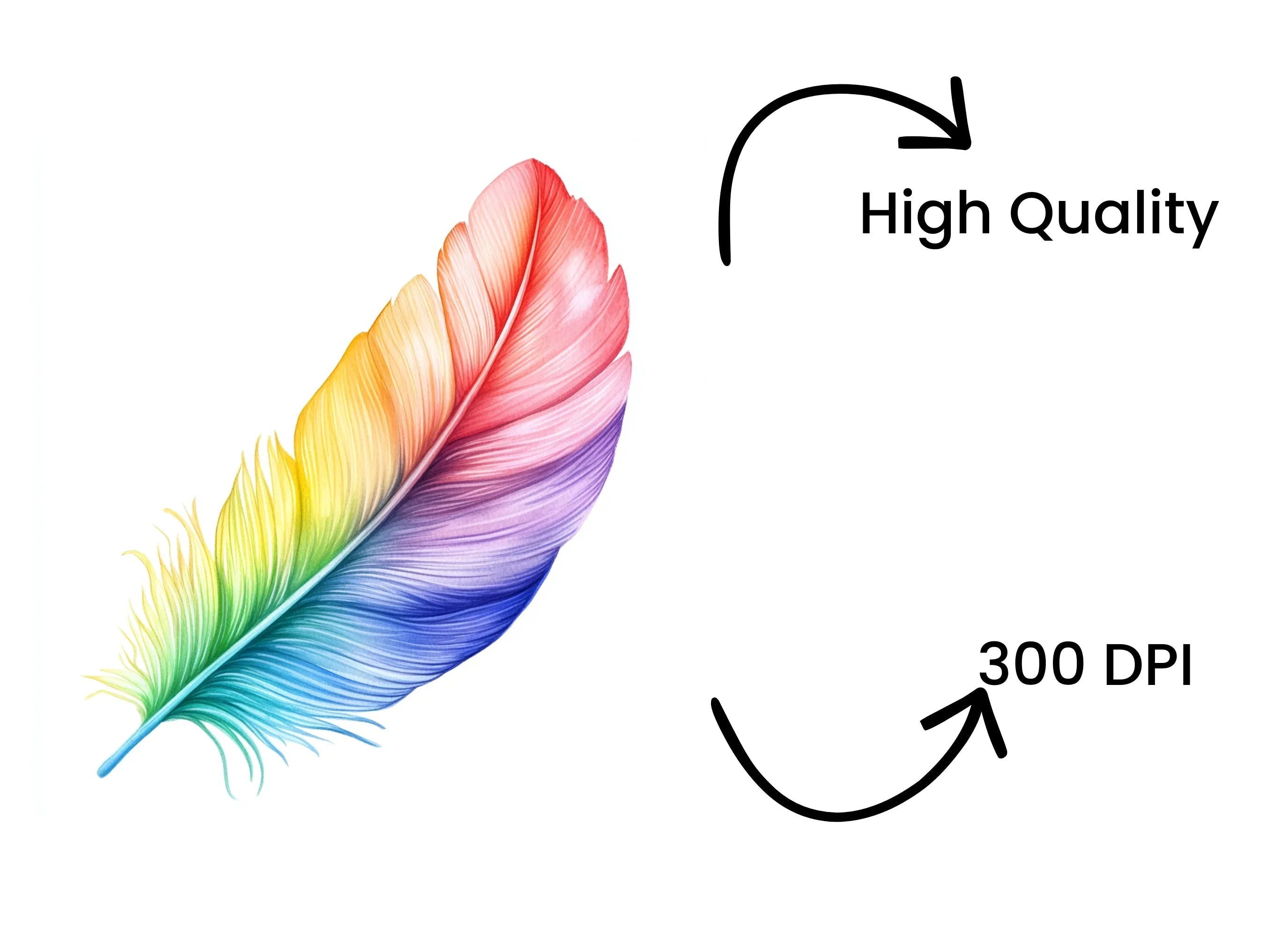 Vibrant Rainbow Feathers Clipart Bundle