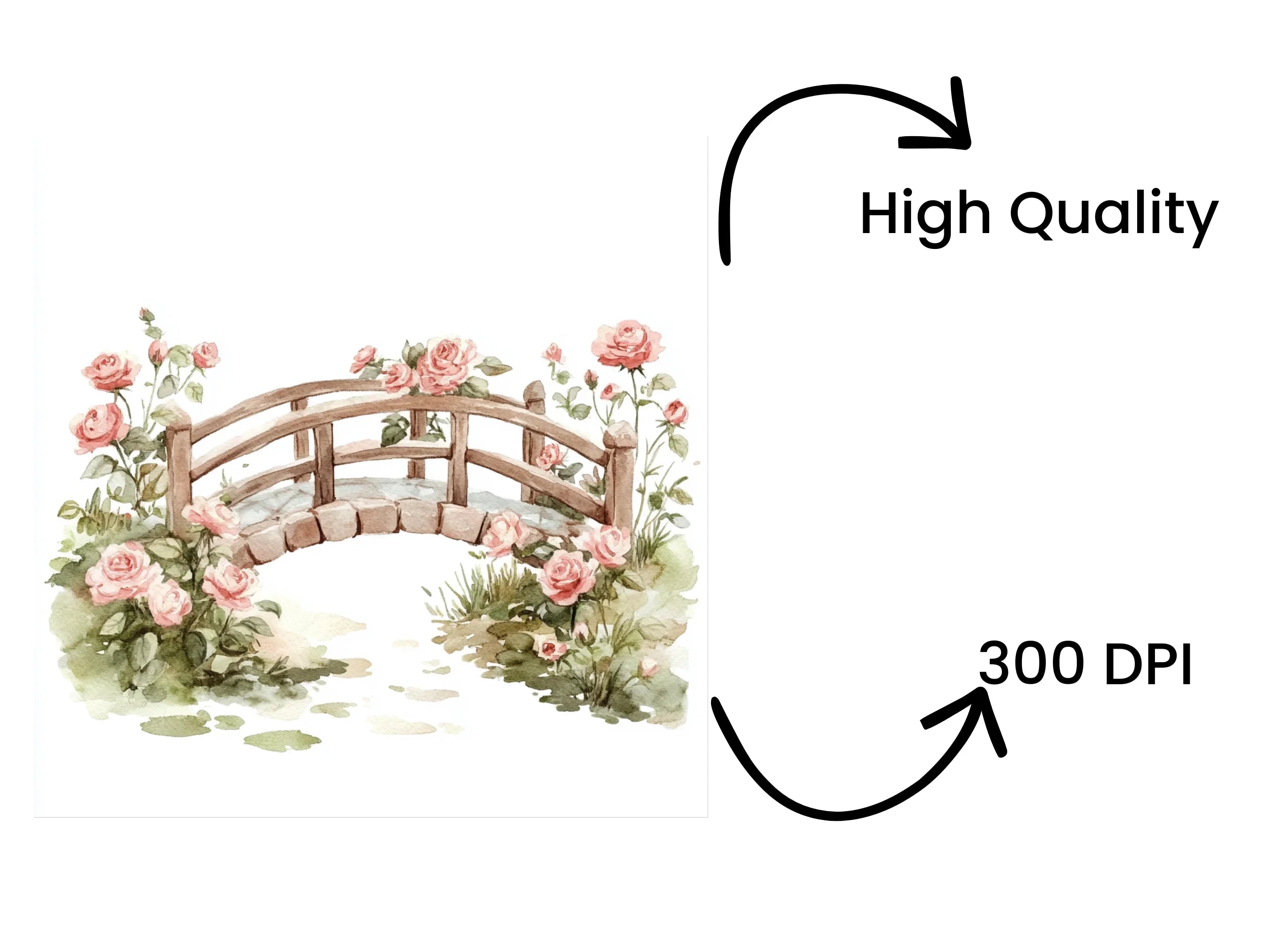Rose Bridge Clipart Bundle