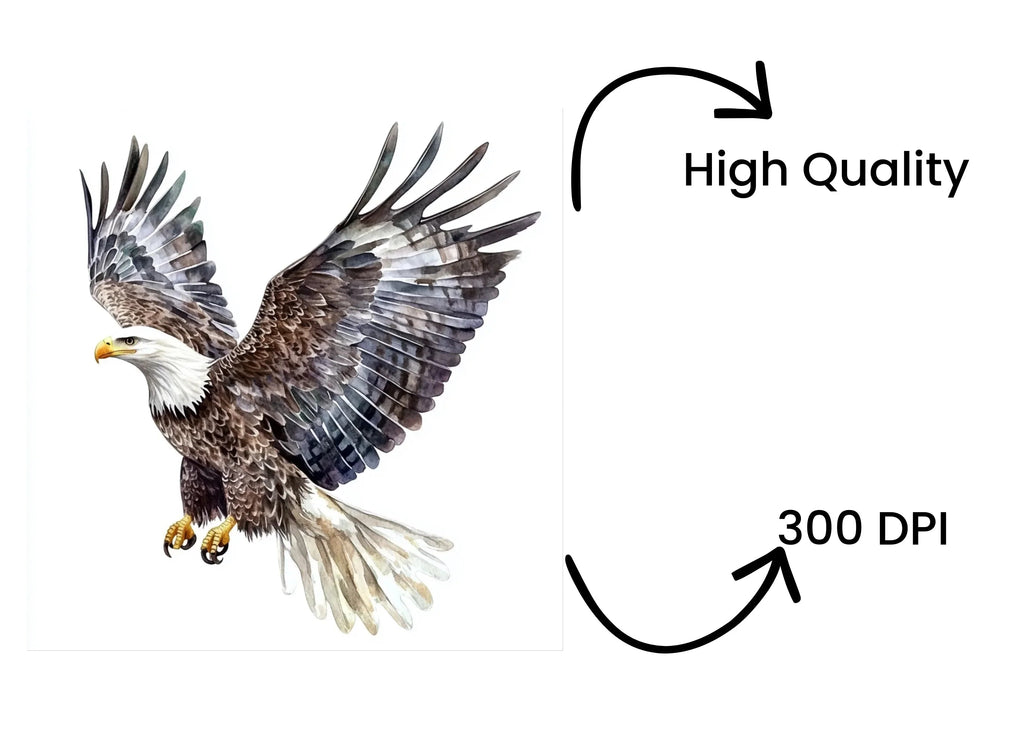 Majestic Bald Eagle Clipart Bundle