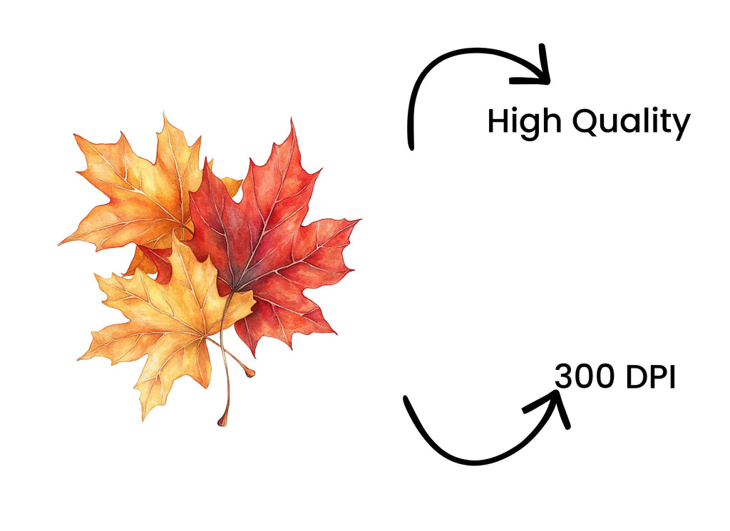 Autumn Leaves Clipart Bundle