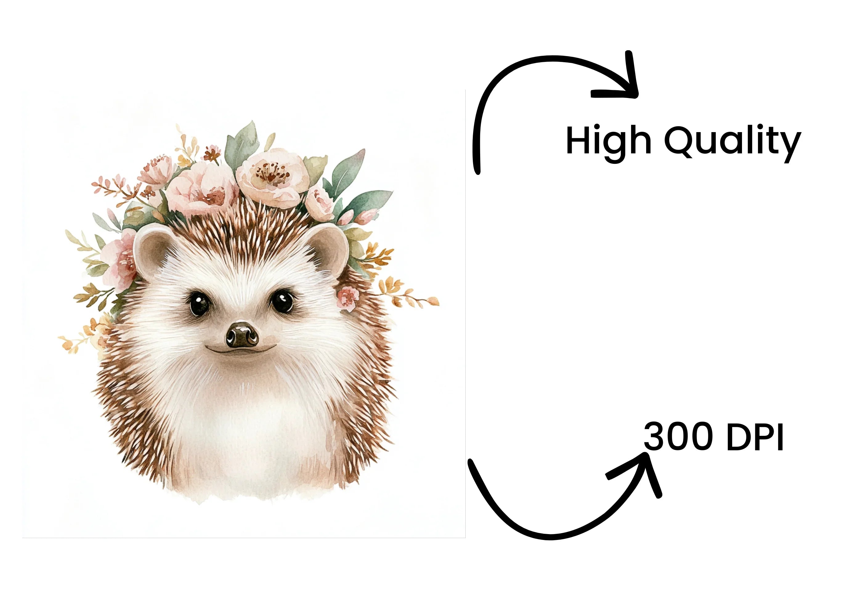 Cute Hedgehog Faces with Floral Crowns Clipart Bundle