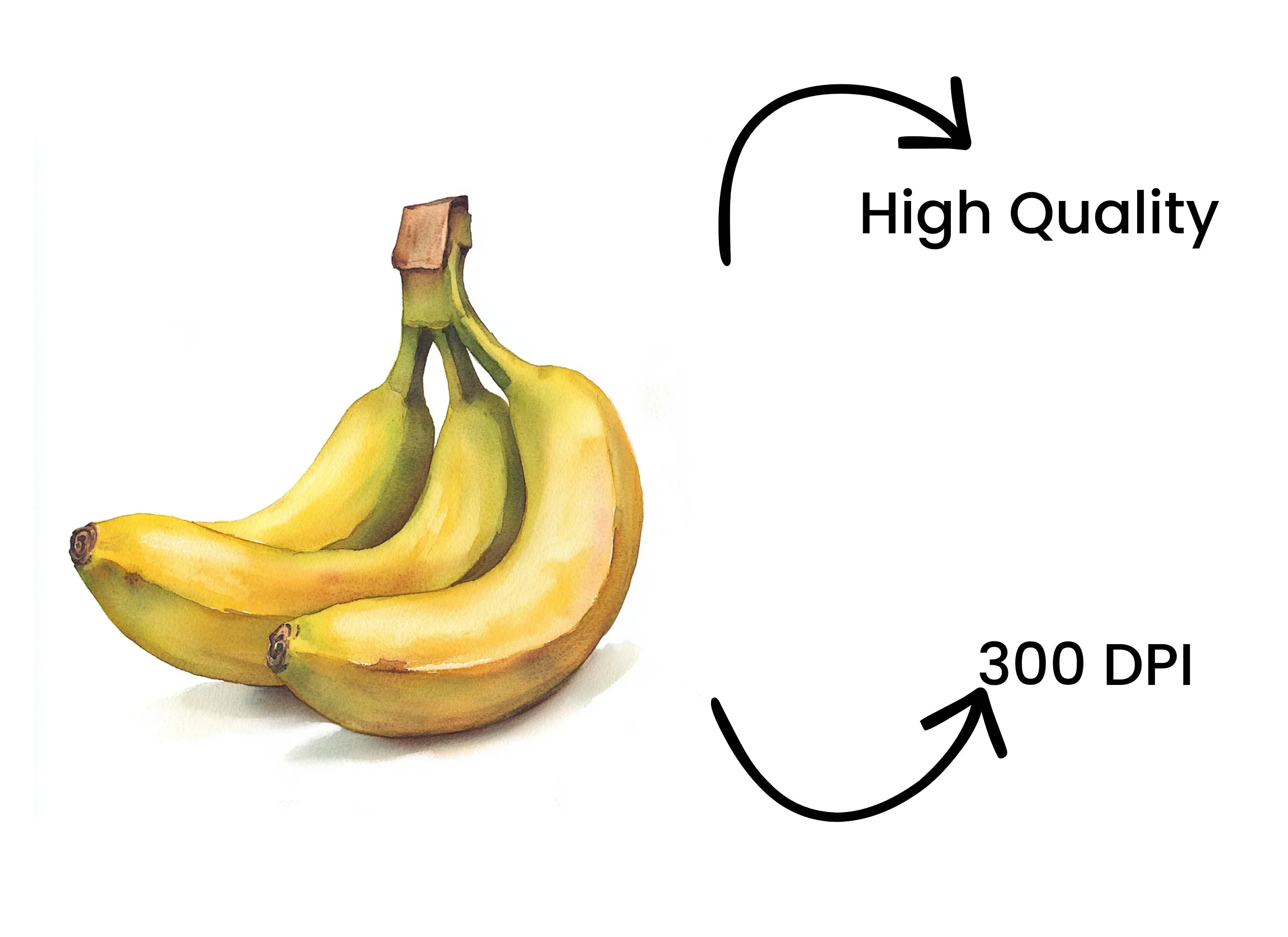Single Bunch Bananas Clipart Bundle