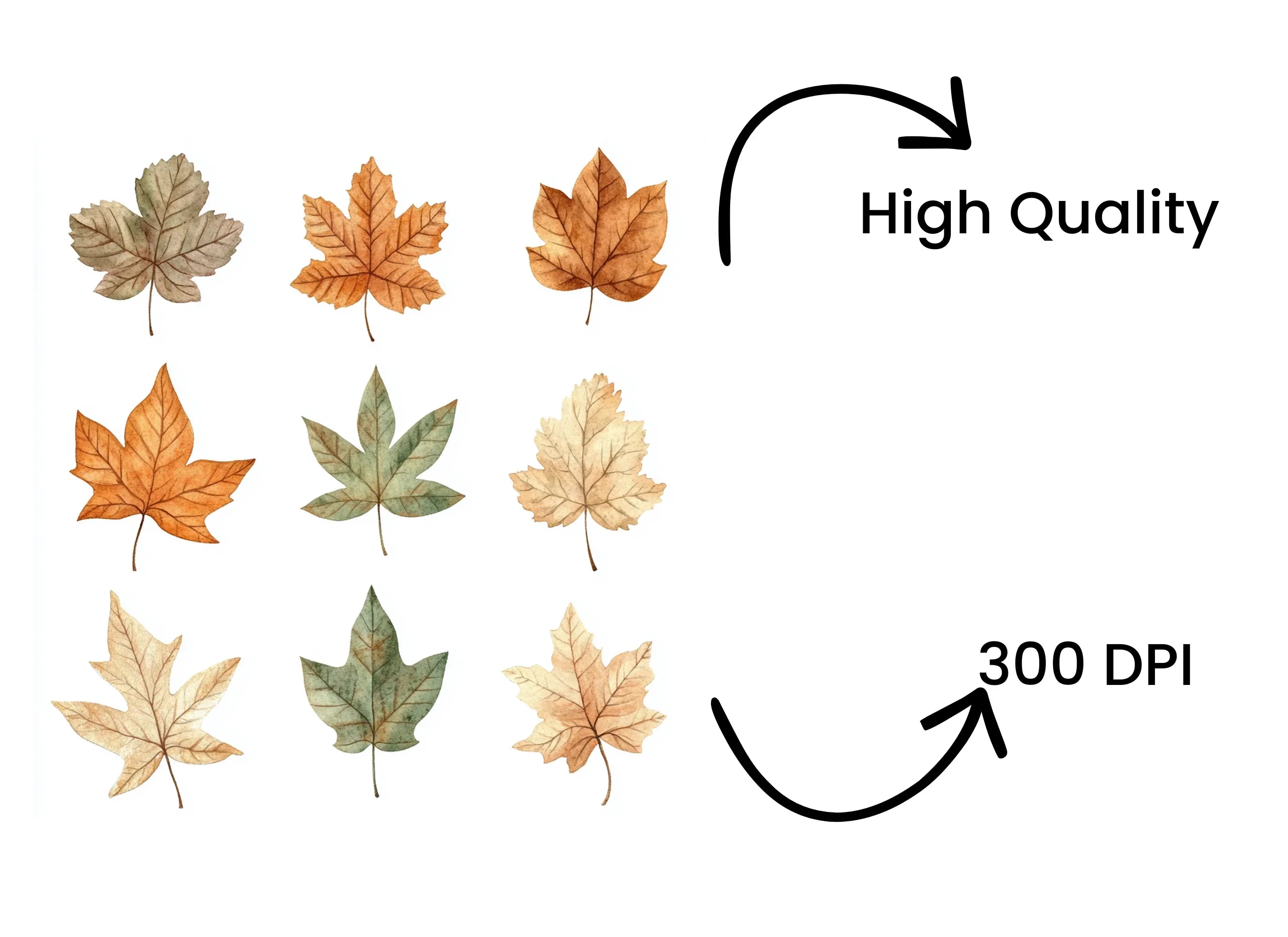 Autumn Leaves Clipart Bundle
