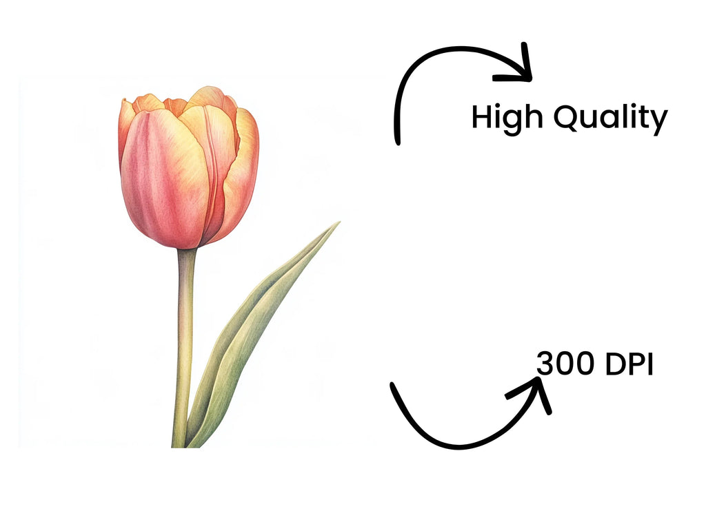 Elegant Pink and Yellow Tulip Clipart Bundle
