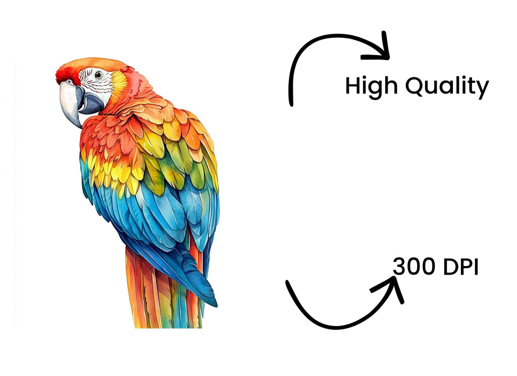 Vibrant Macaw Clipart Bundle
